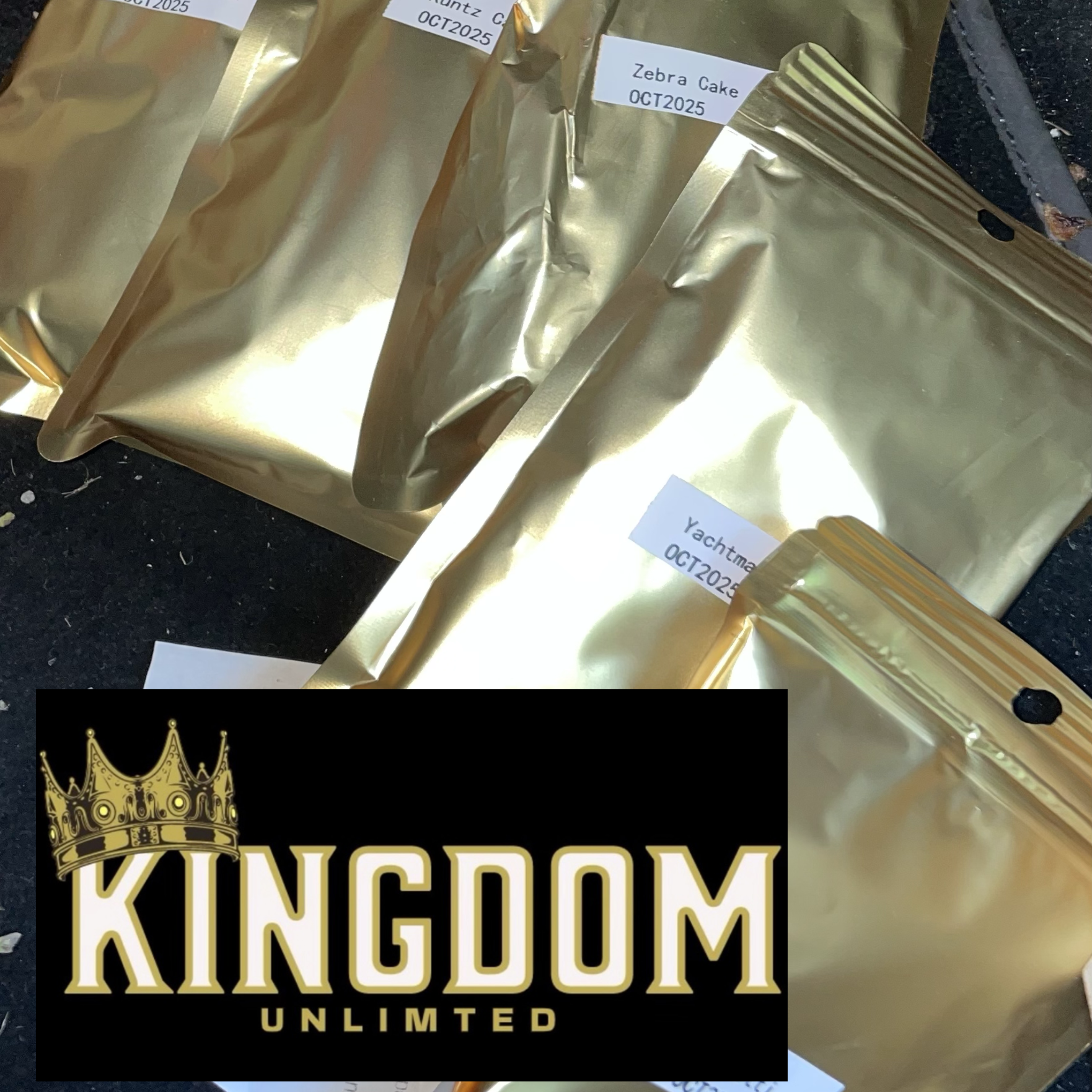 2-7 morti 2 rough by THE KINGDOM UNLIMITED cover art