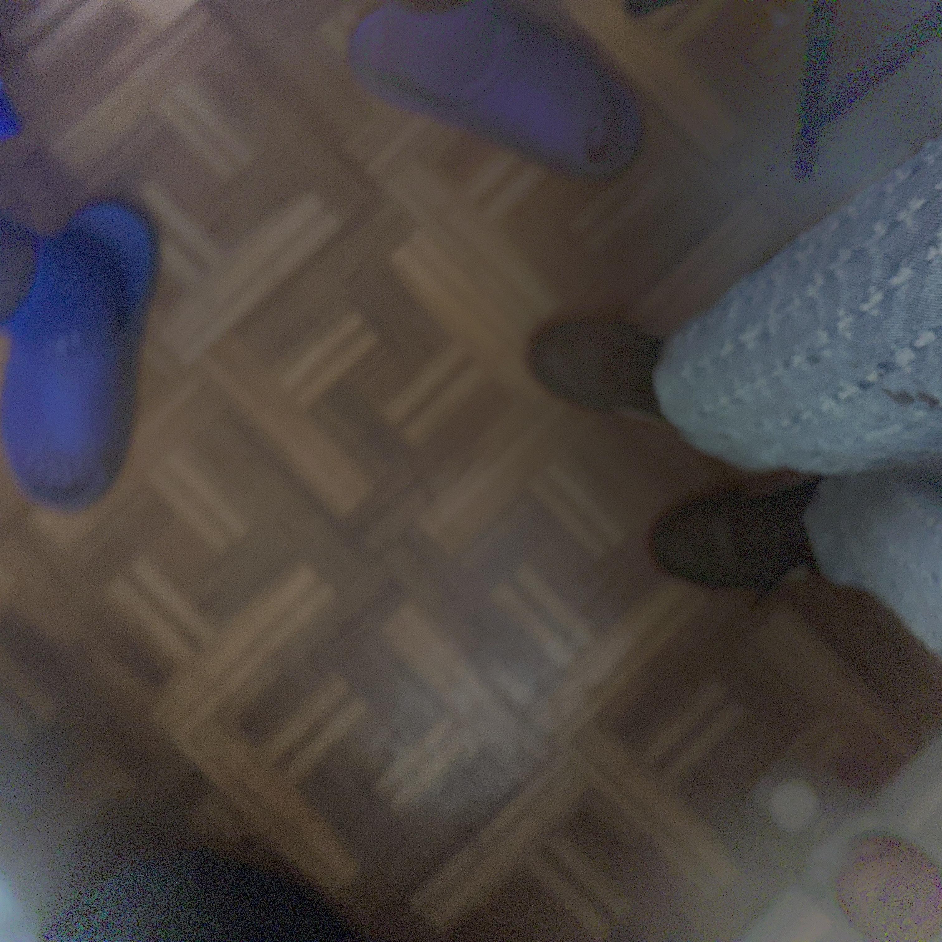 Tally’s New Playlist artwork