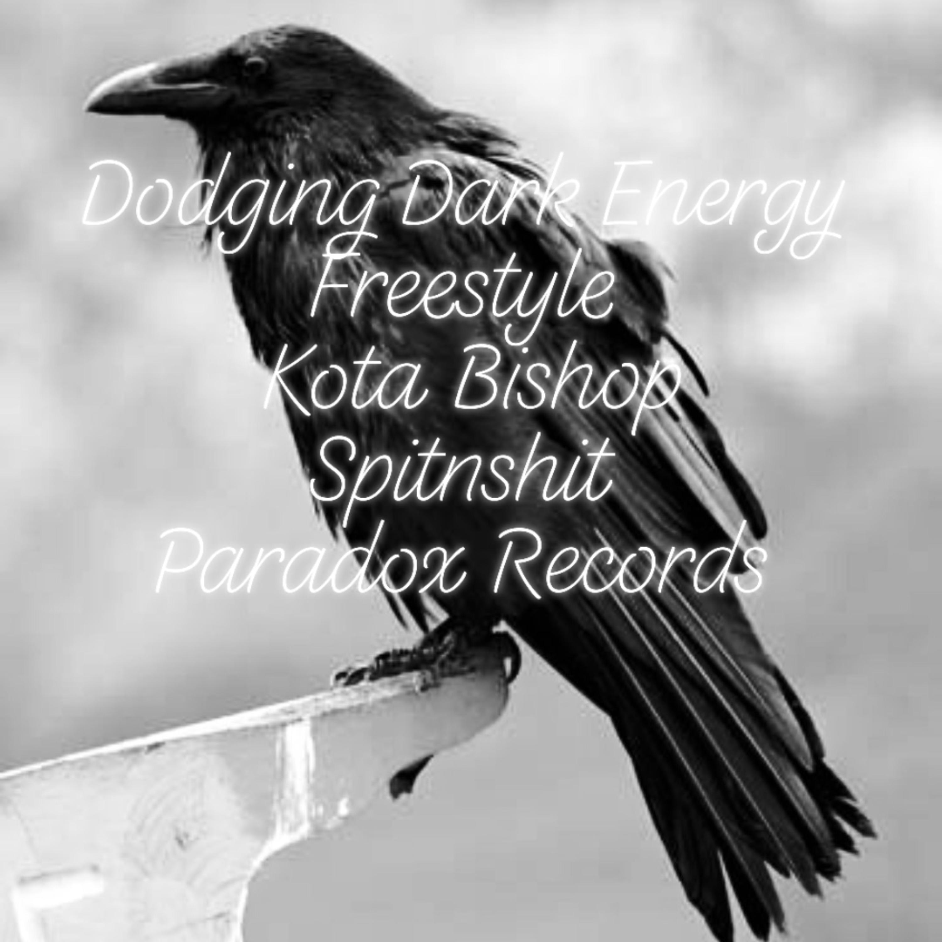 Dark Energy Freestyle  by Dakota Bishop cover art