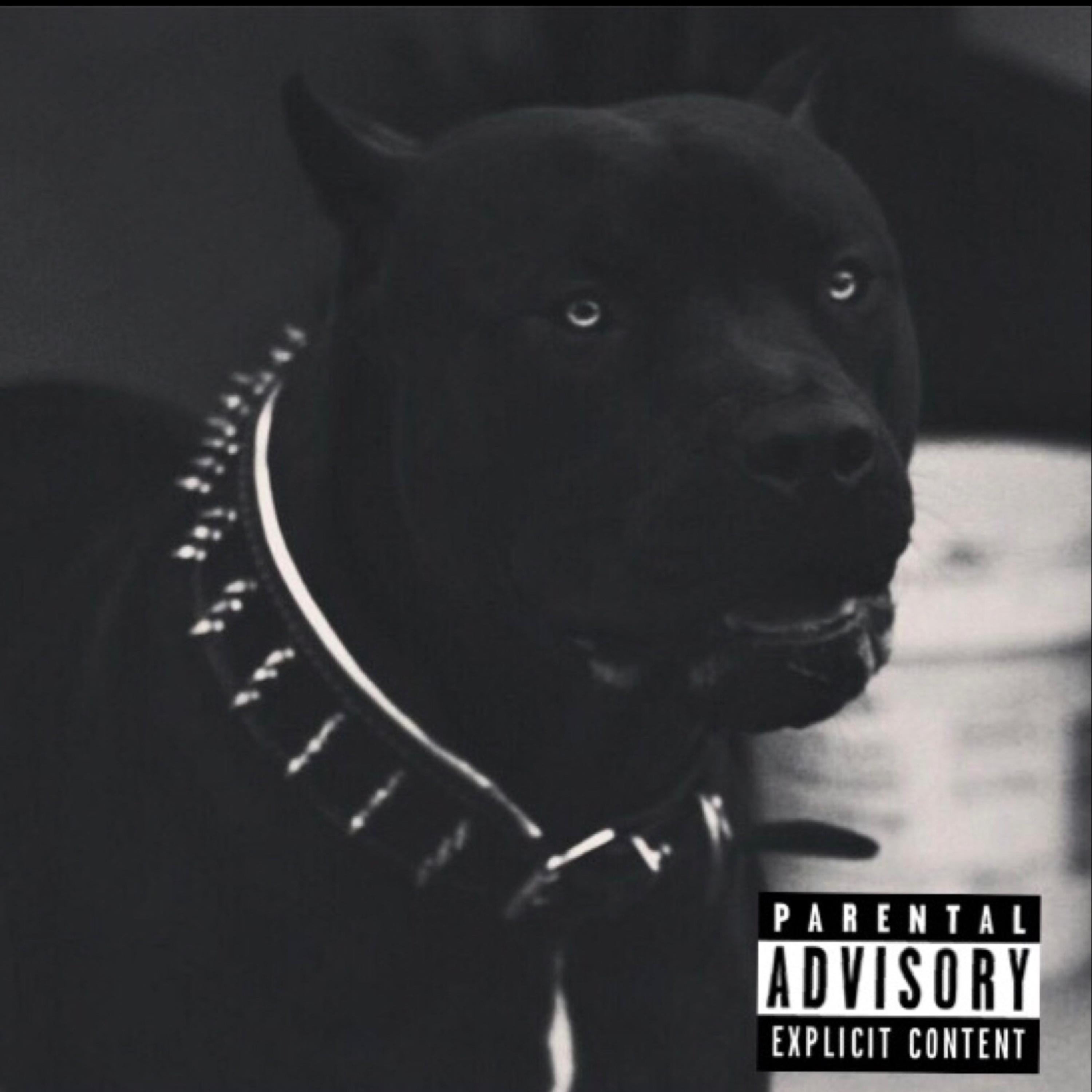 Just Being Honest artwork