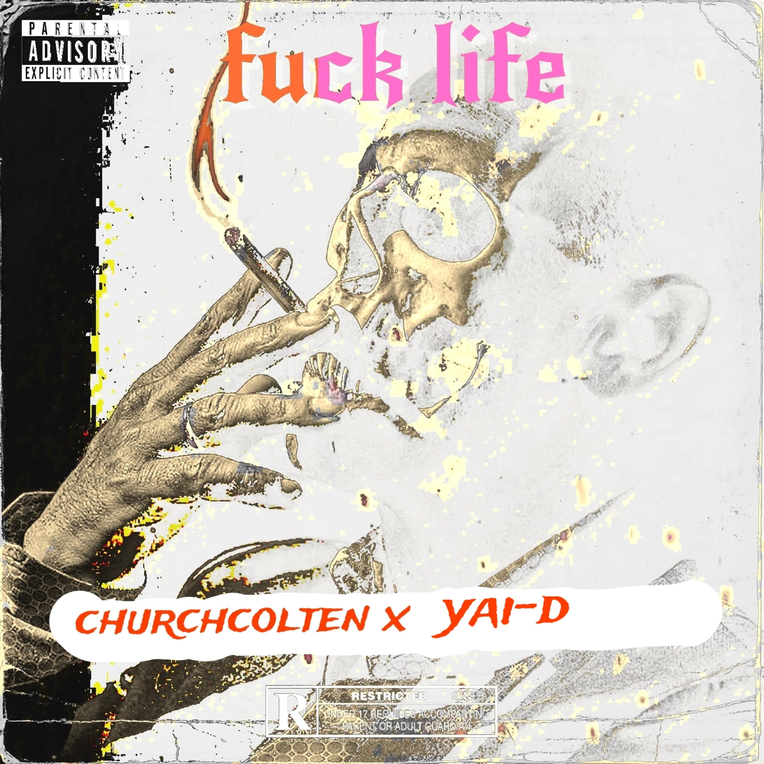 fuck life  artwork