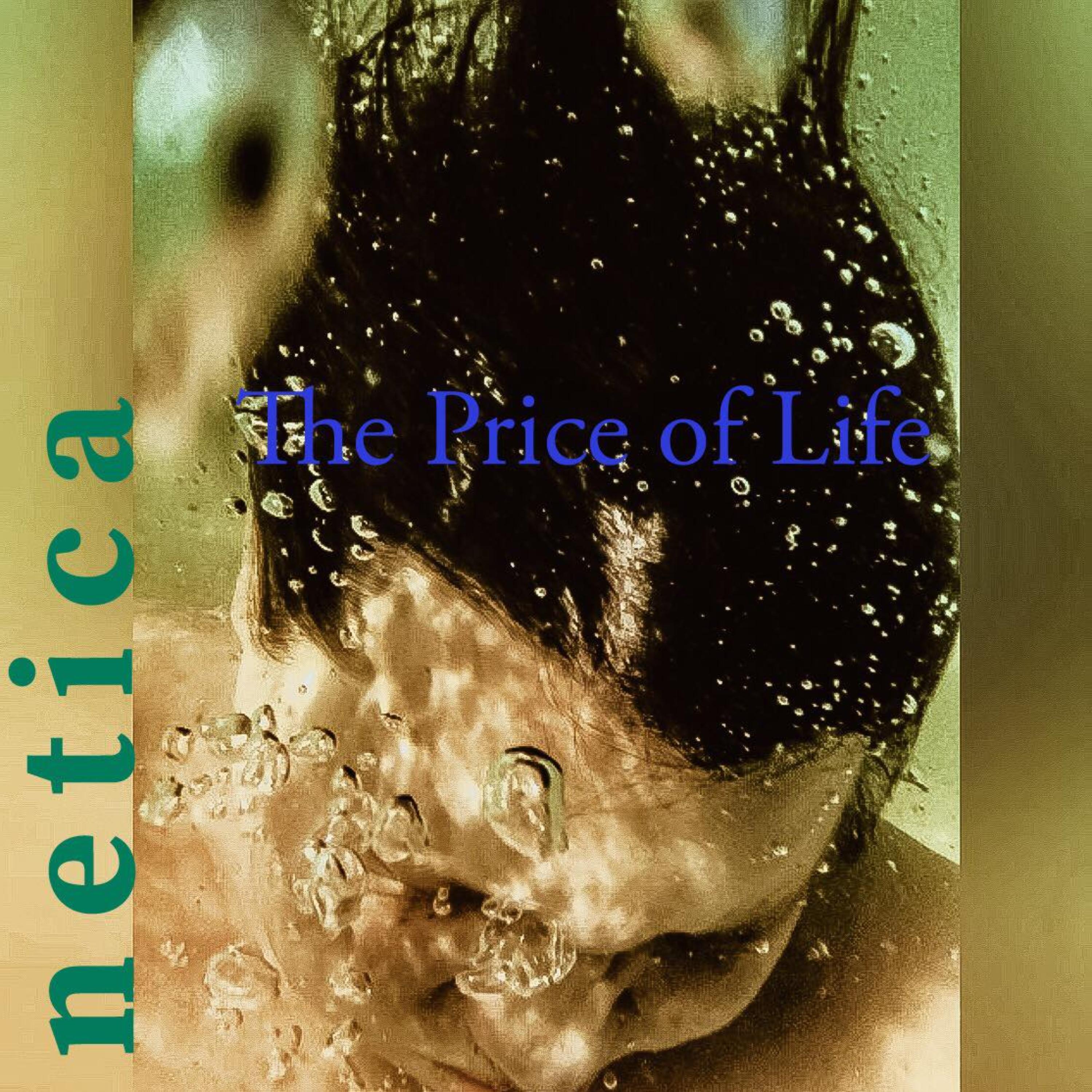 The Price of Life artwork