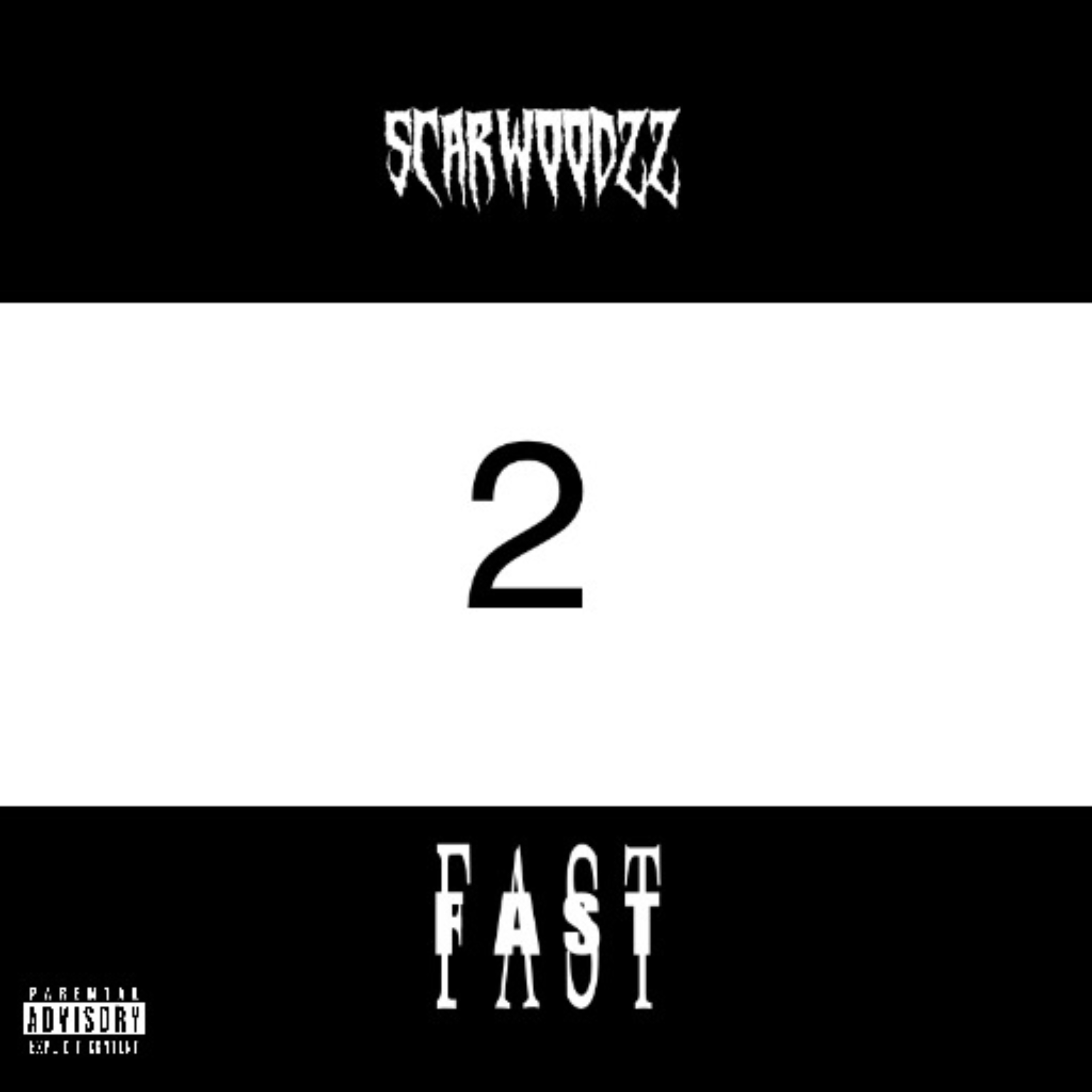 2 FAST artwork
