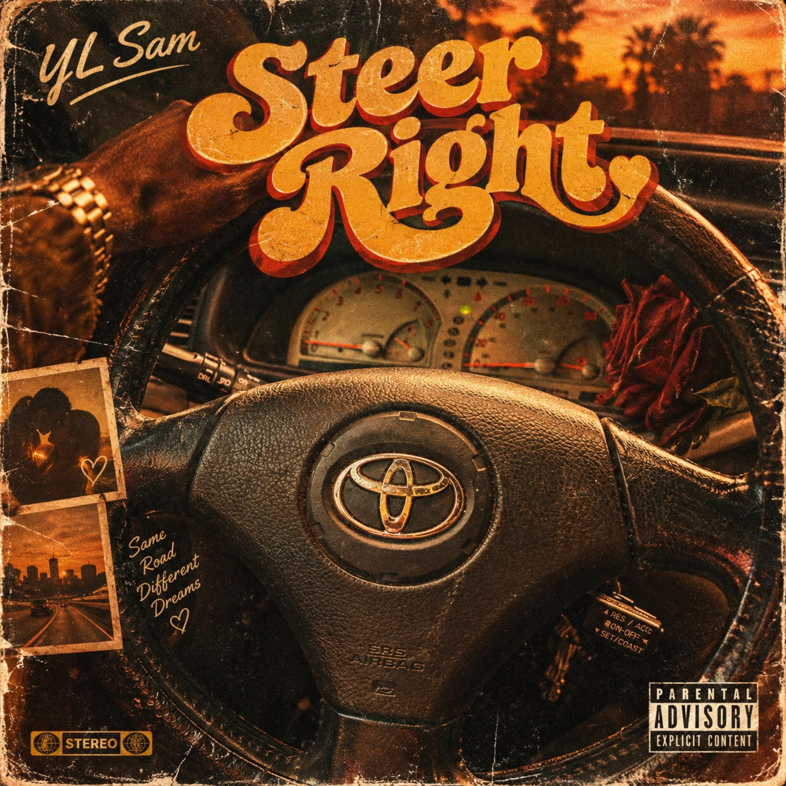 Steer Right by YL Sam cover art