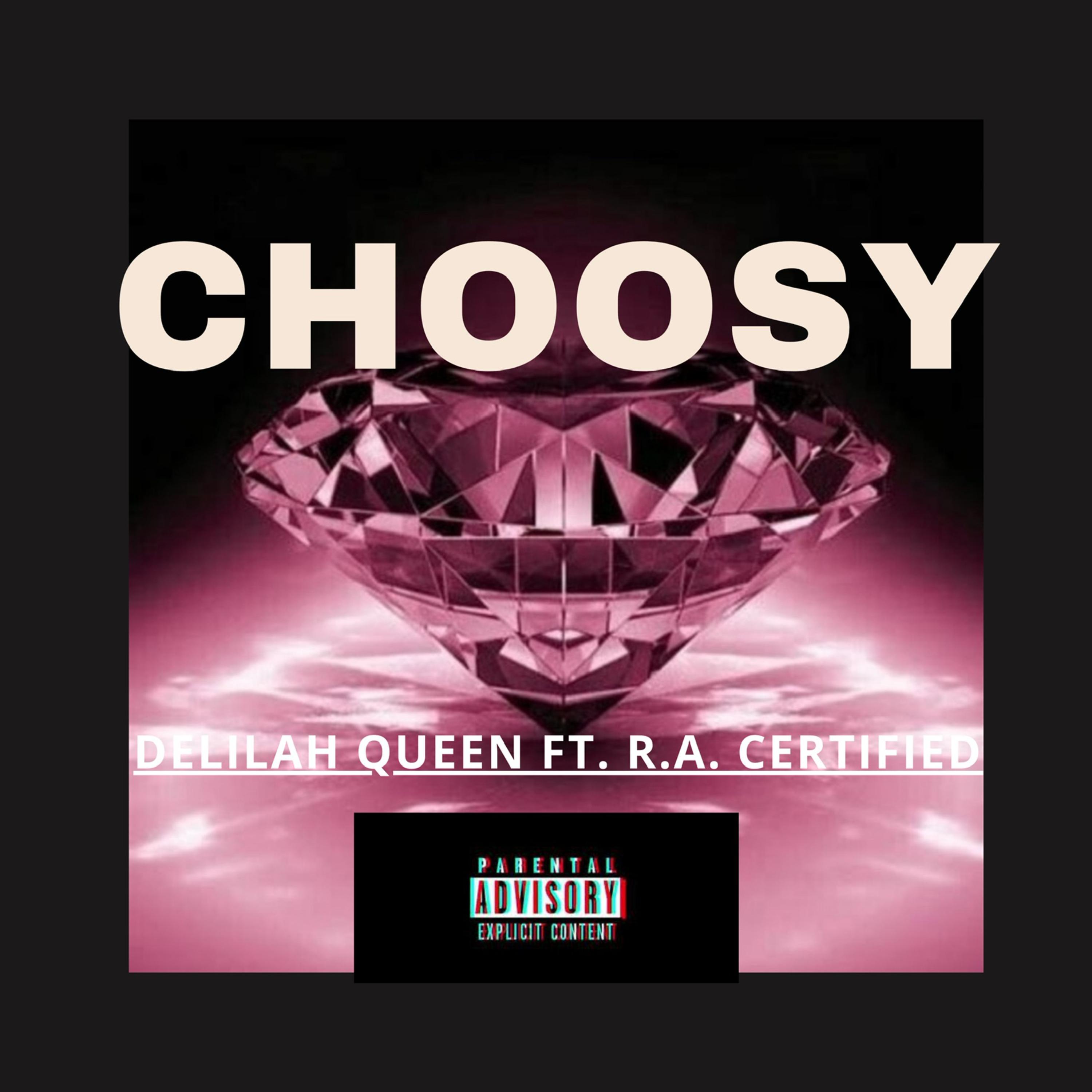 Choosy artwork