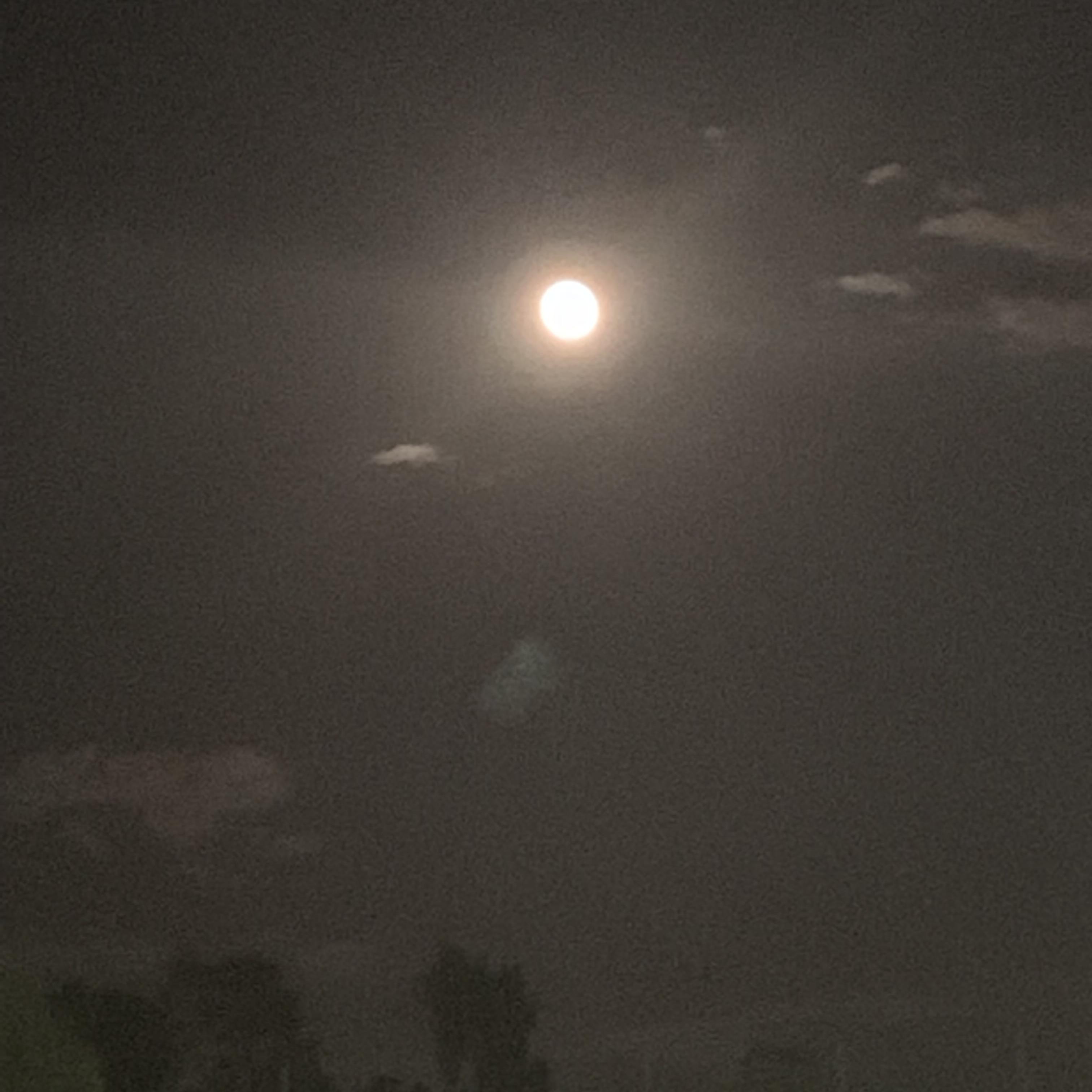 Nothin' But Hate artwork