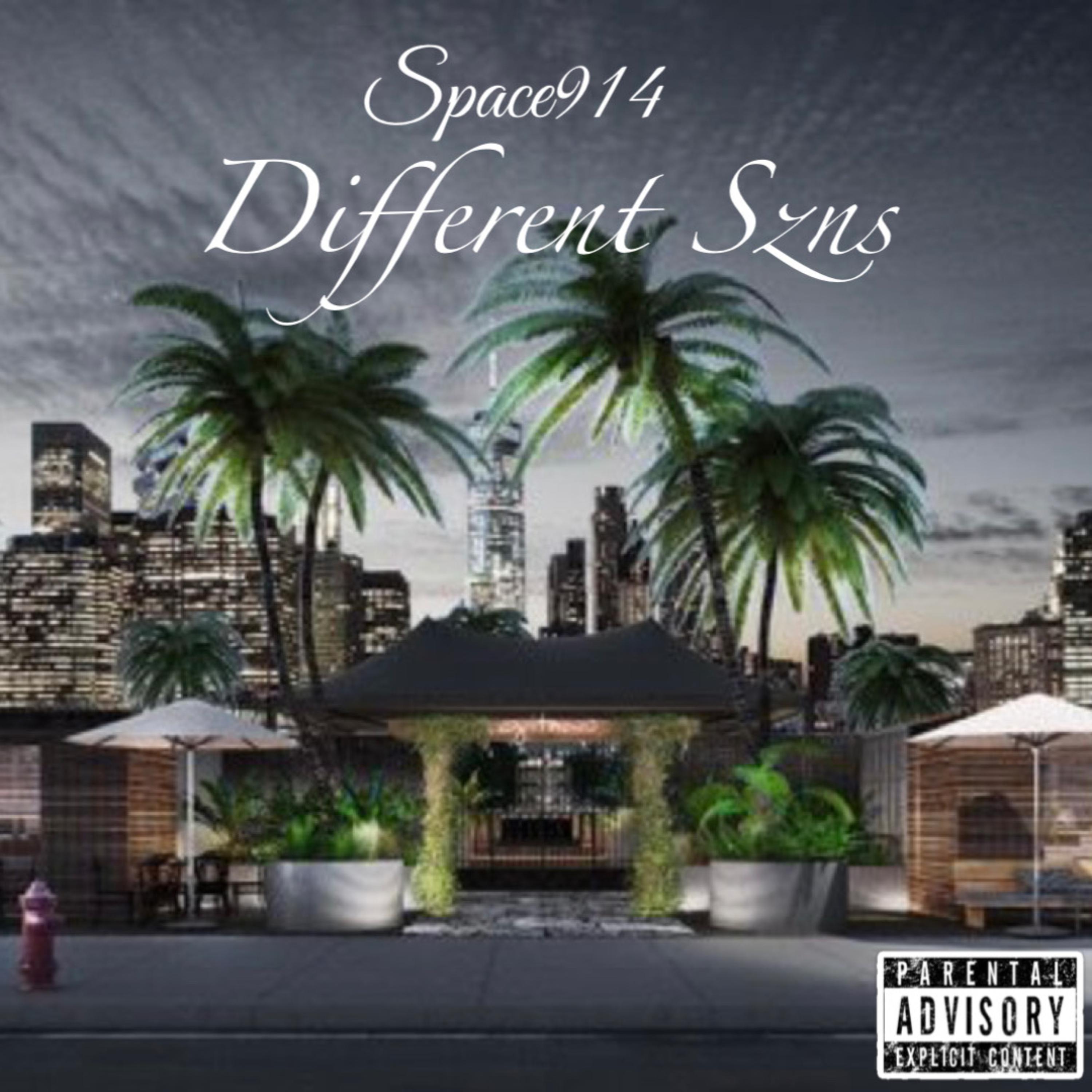 Different Szns artwork
