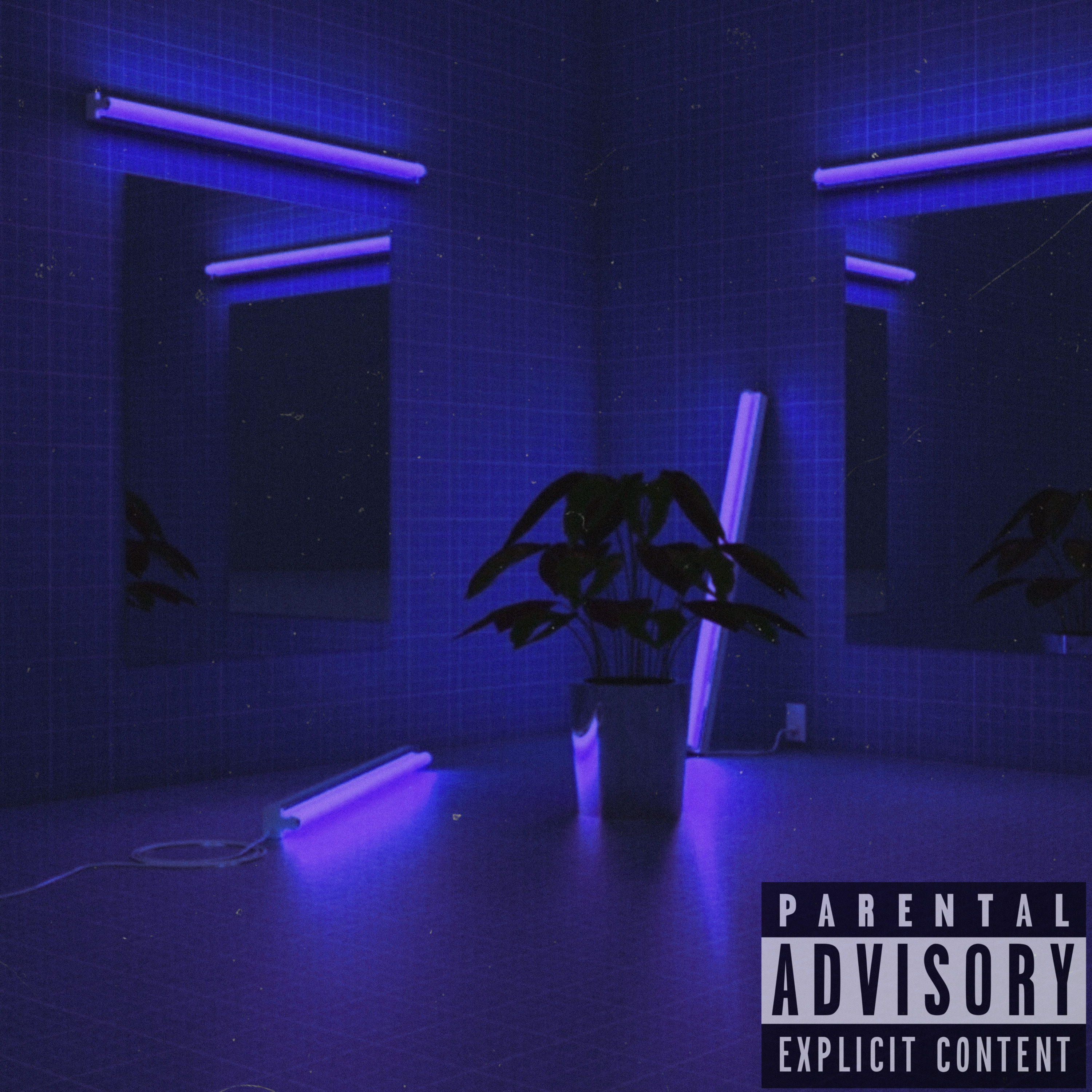The Purple Room artwork