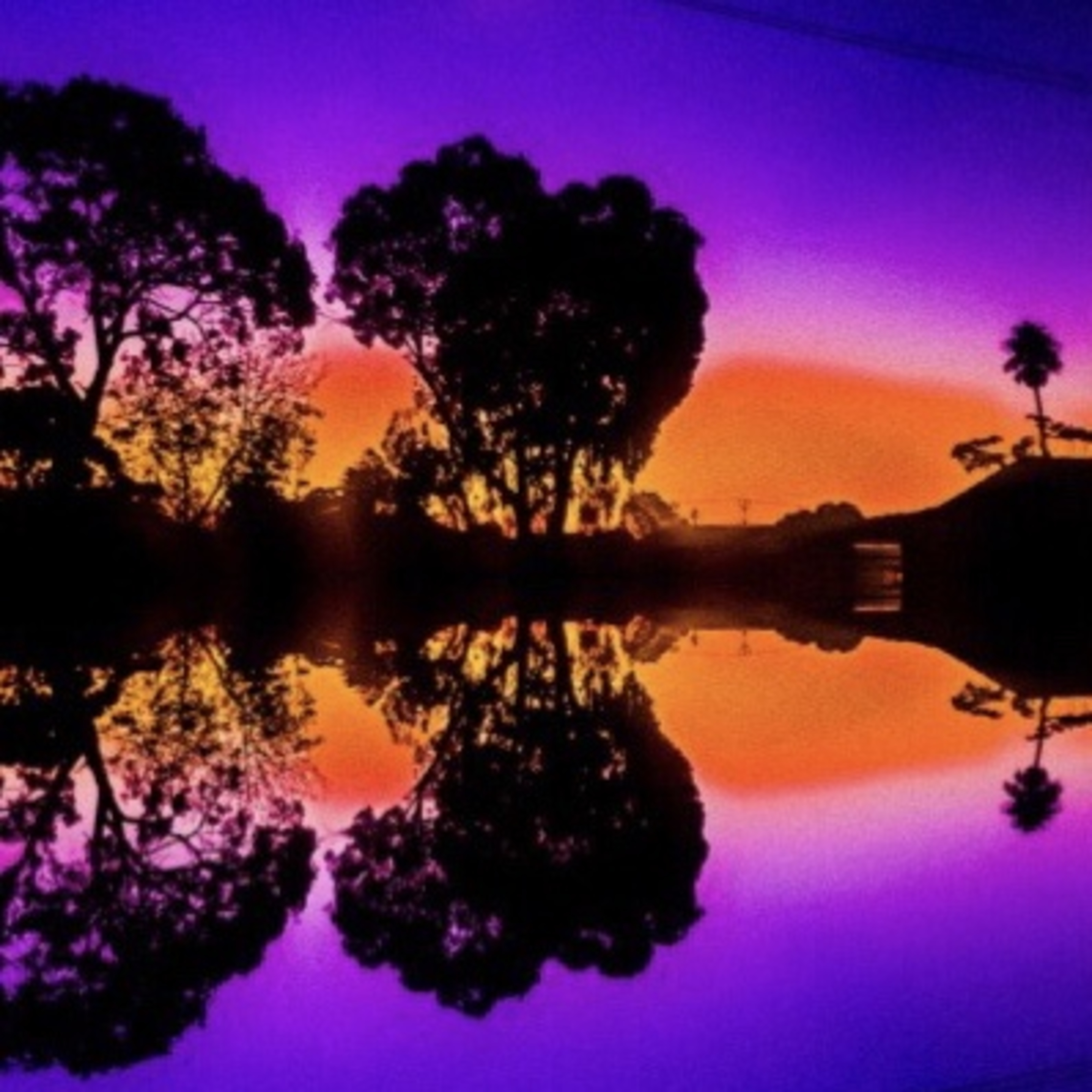 Dim The Light artwork