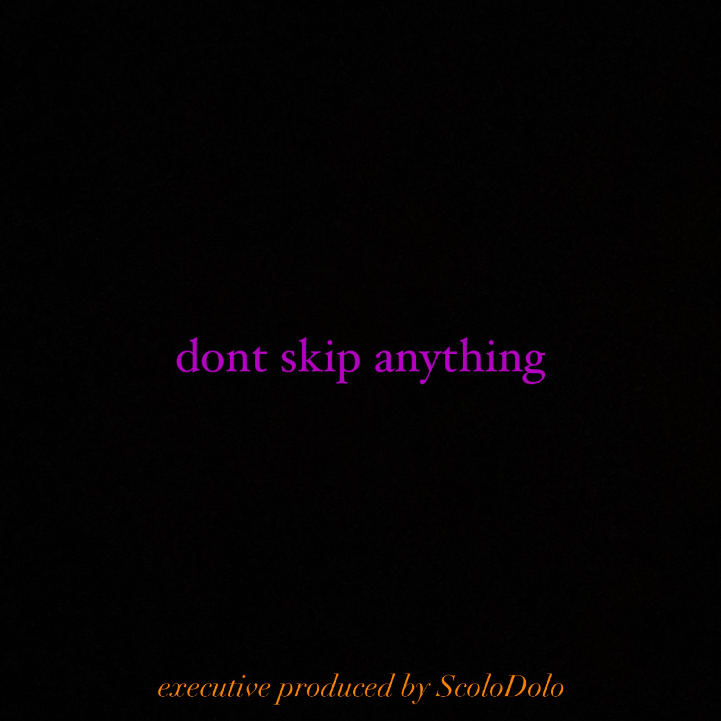 Dont Skip Anything artwork