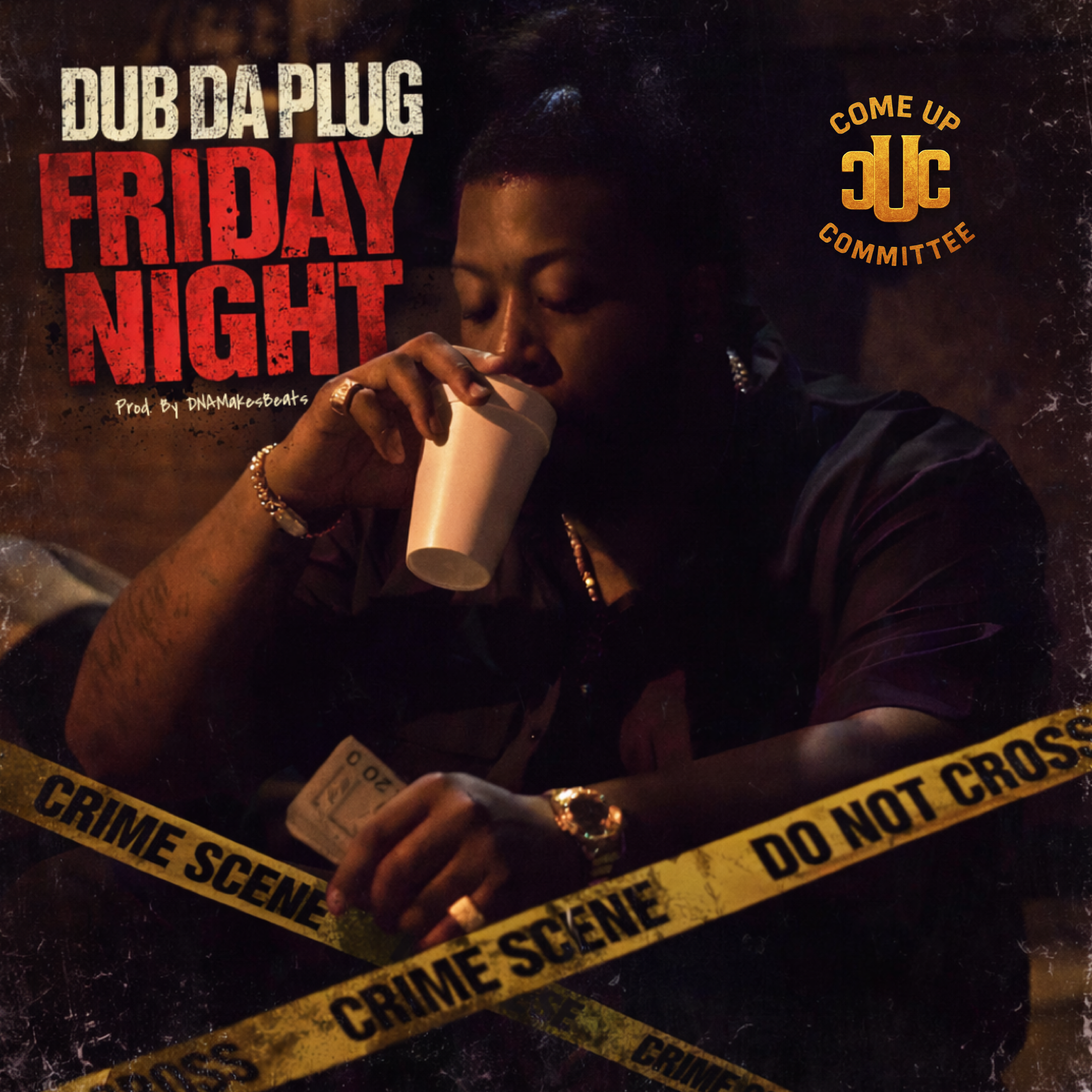 Friday Night (Radio) by Dub da Plug cover art