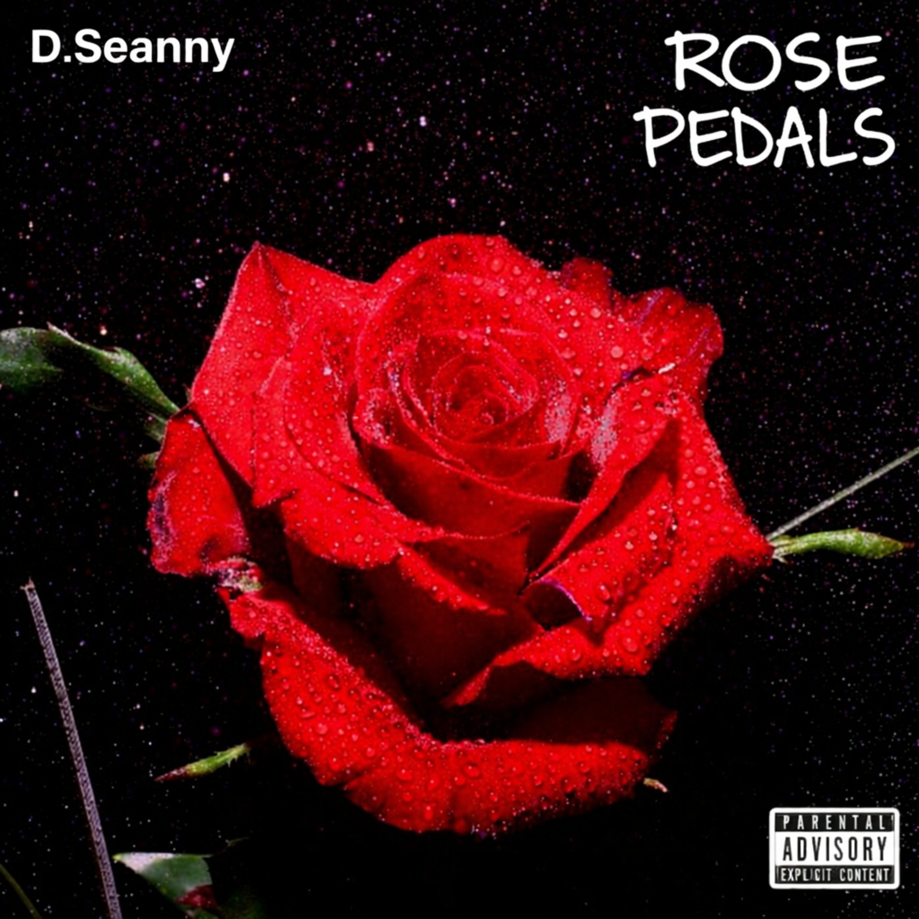 Rose Pedals artwork