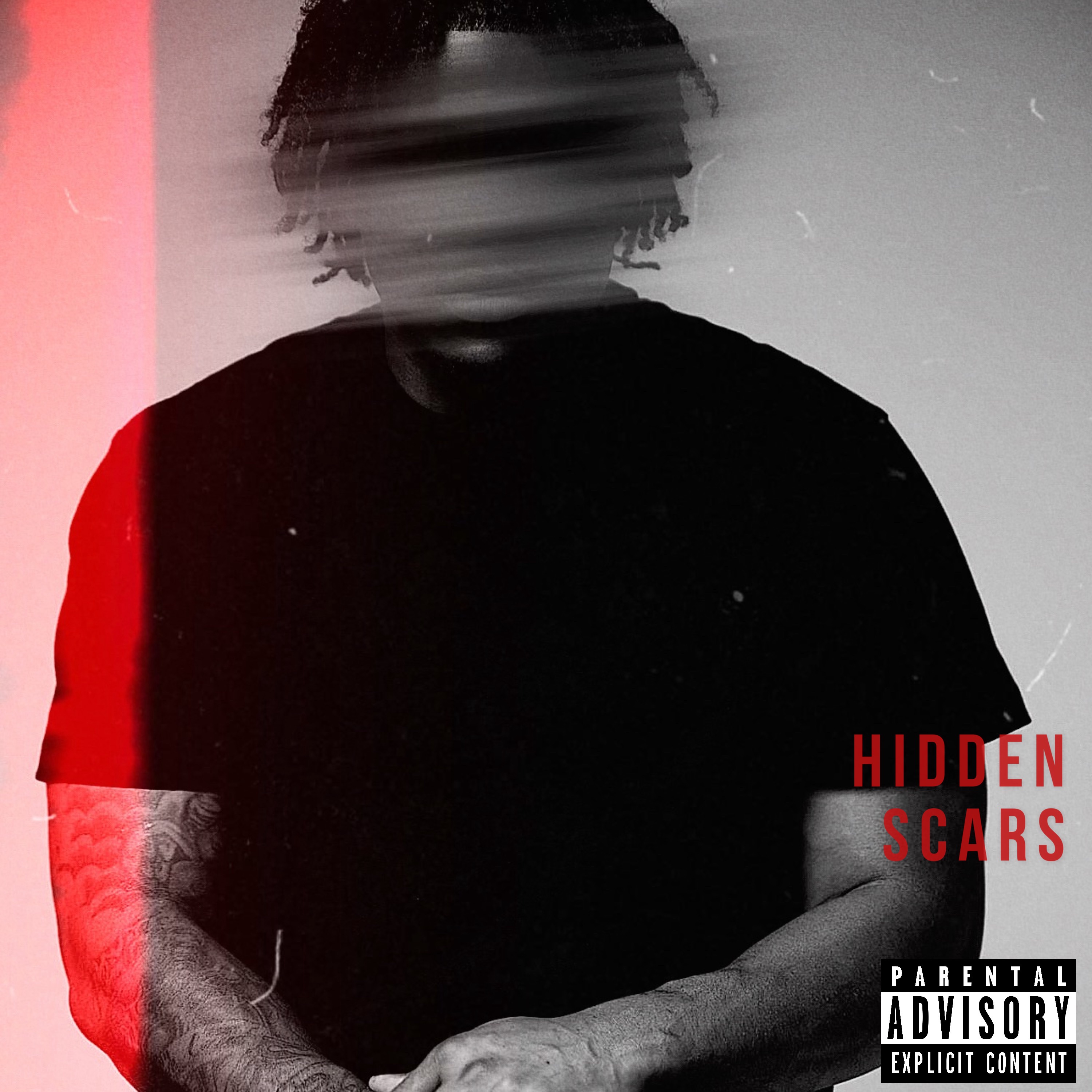 HIDDEN SCARS artwork