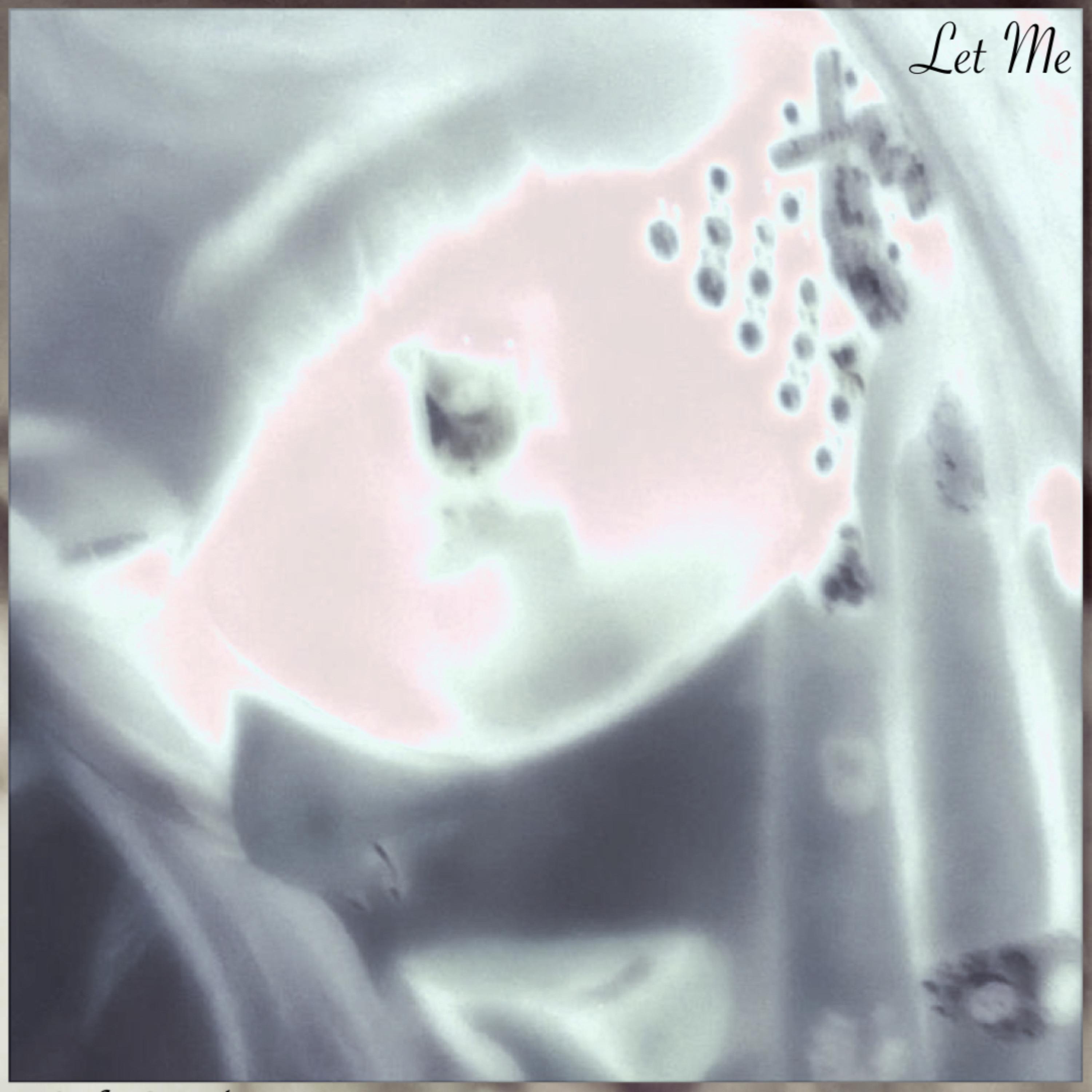 Let Me artwork