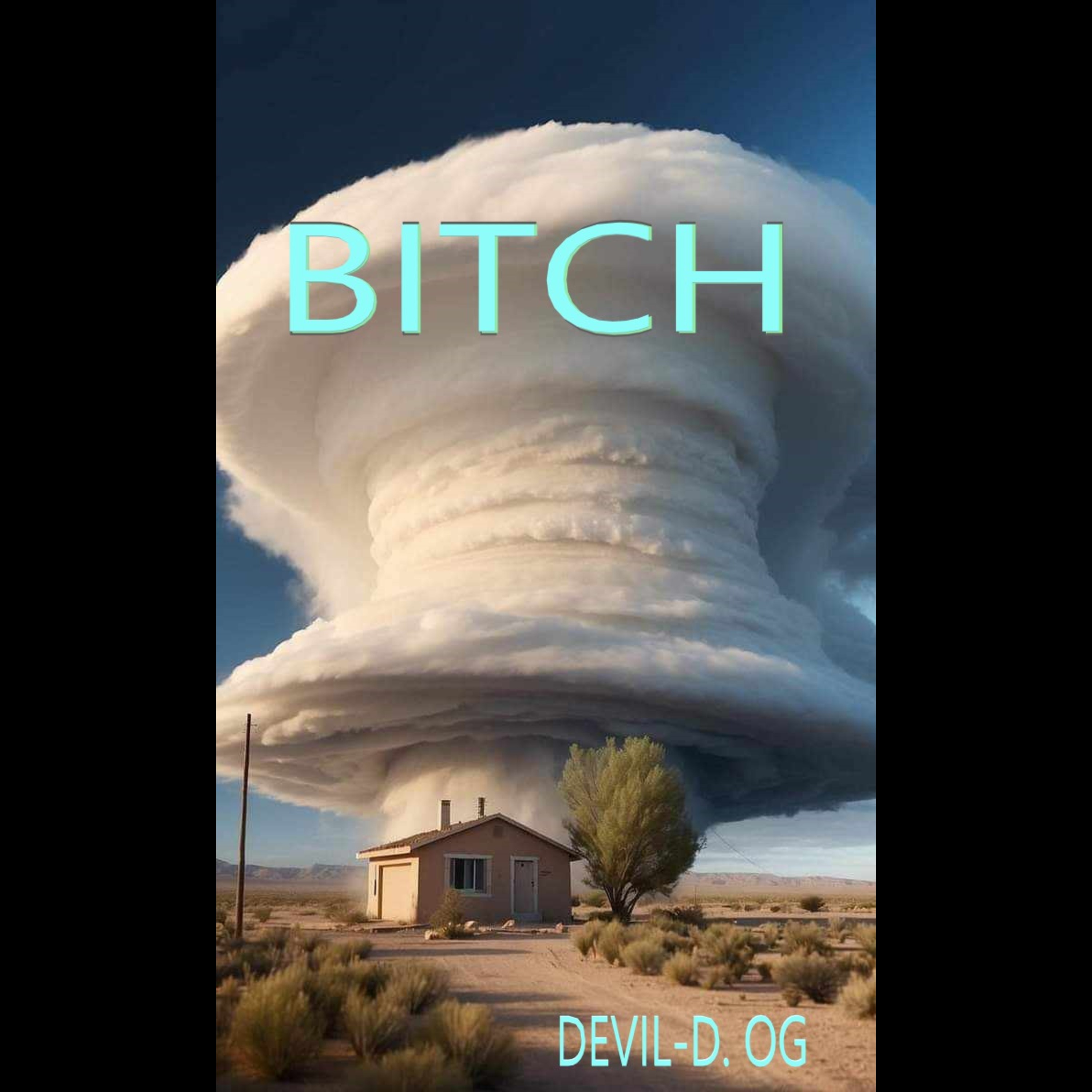 BITCH artwork