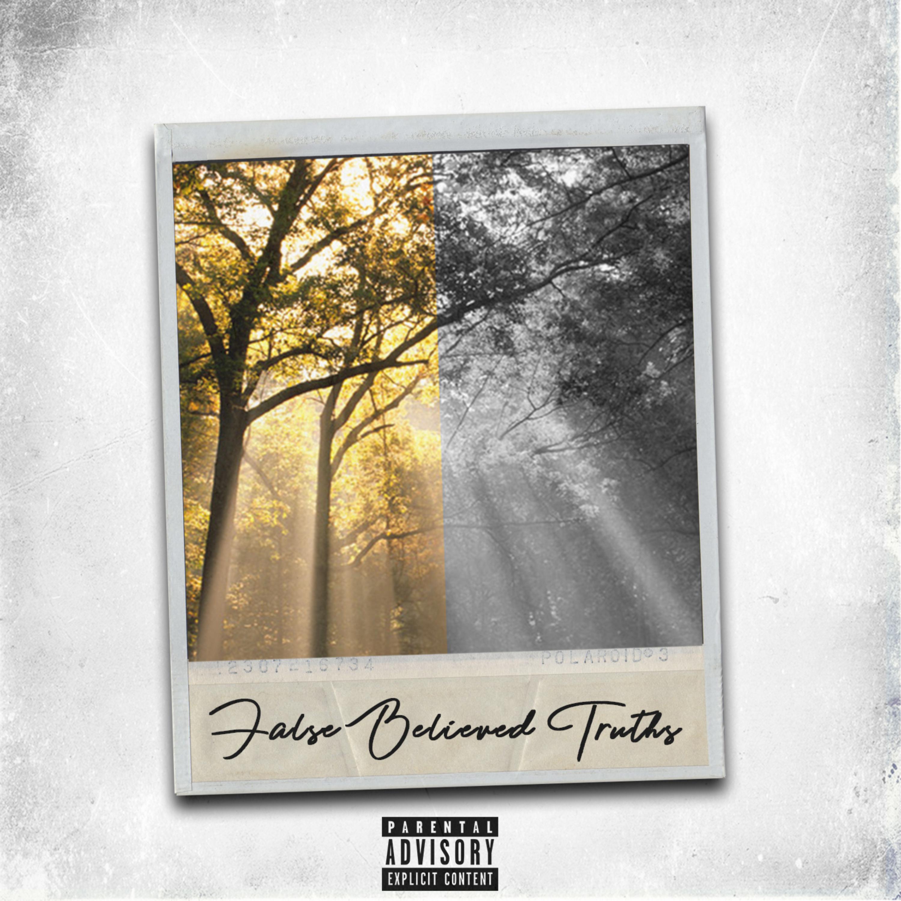 False Believed Truths by Jeh White cover art