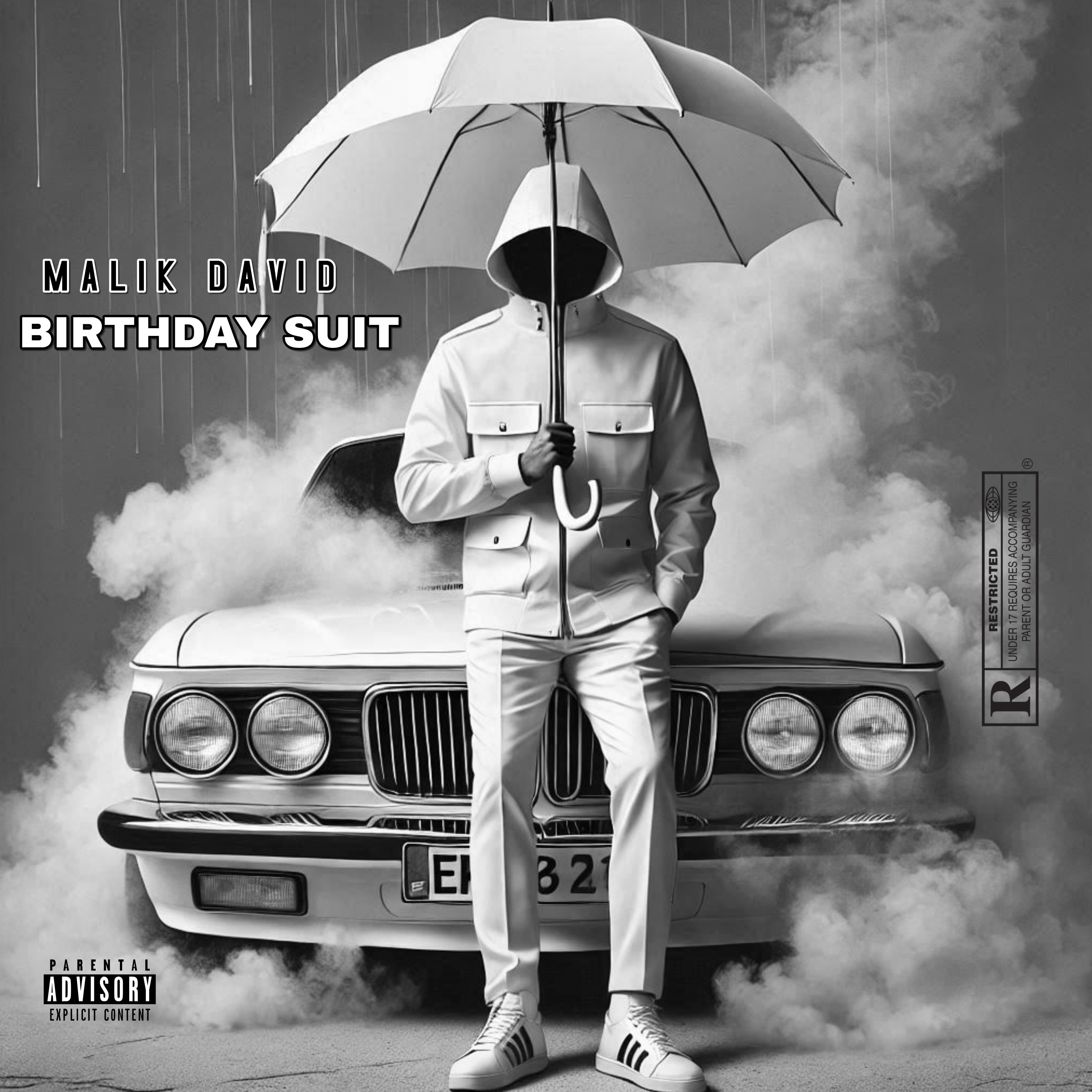 Birthday Suit artwork
