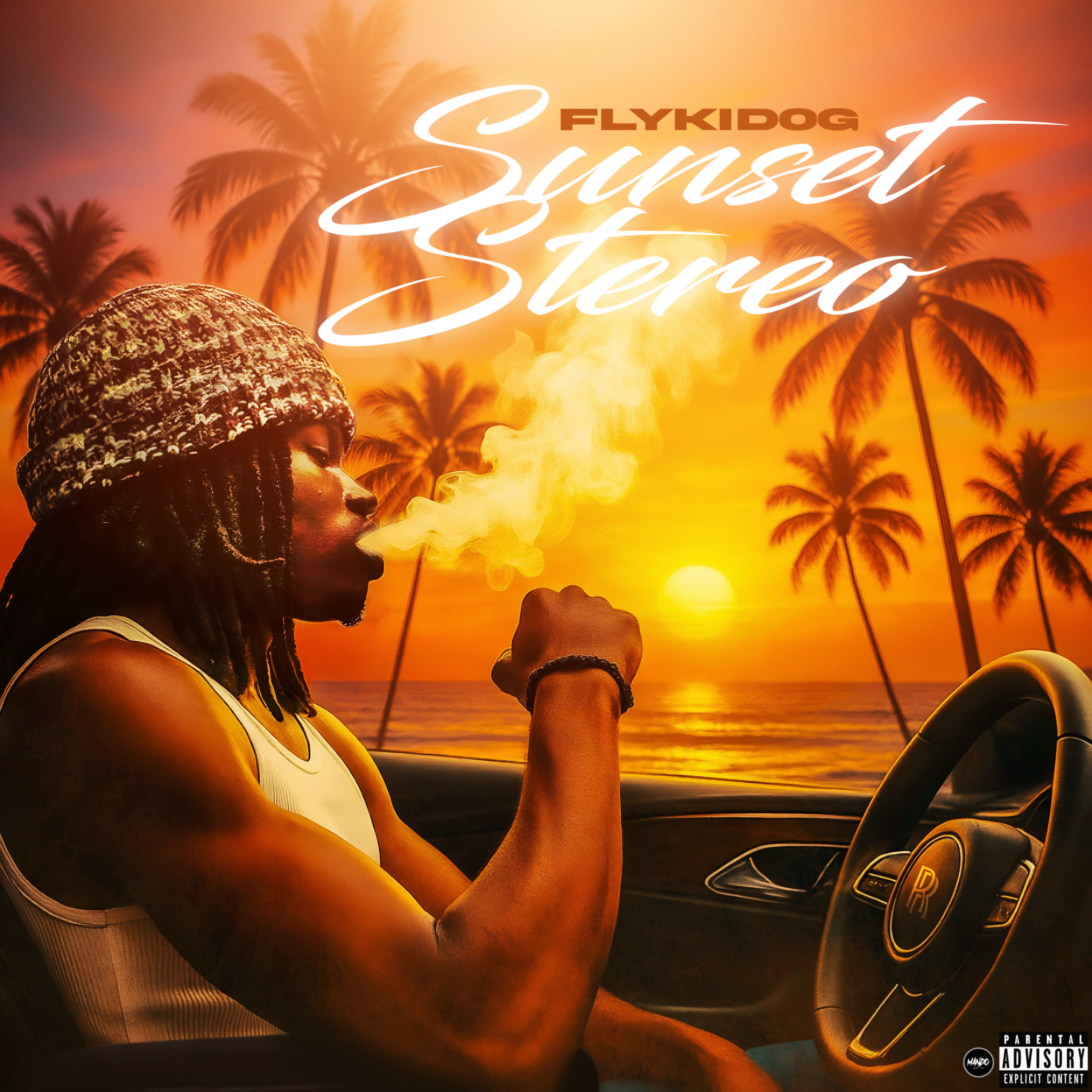 Sunset Stereo by Flykid0g cover art
