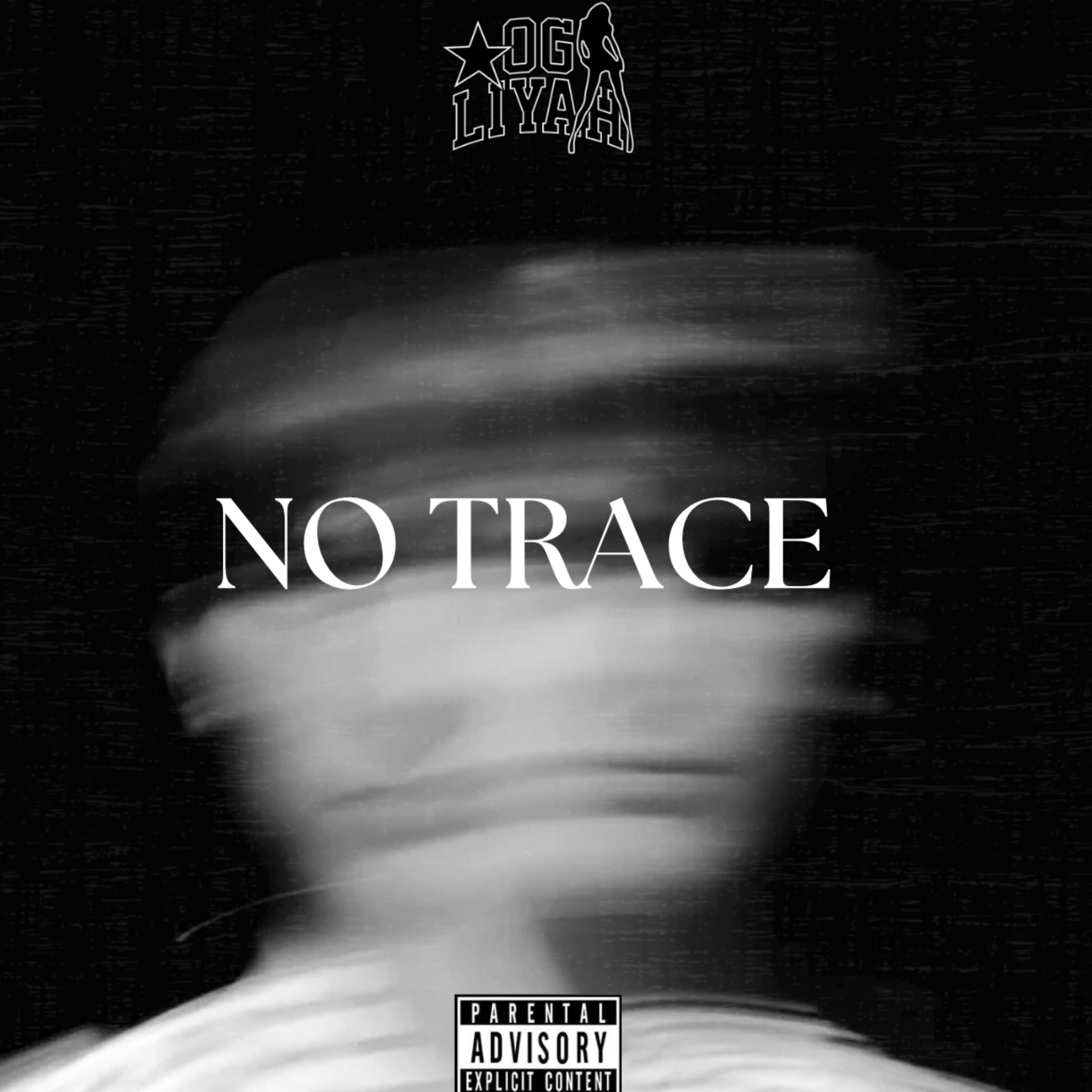 No Trace artwork