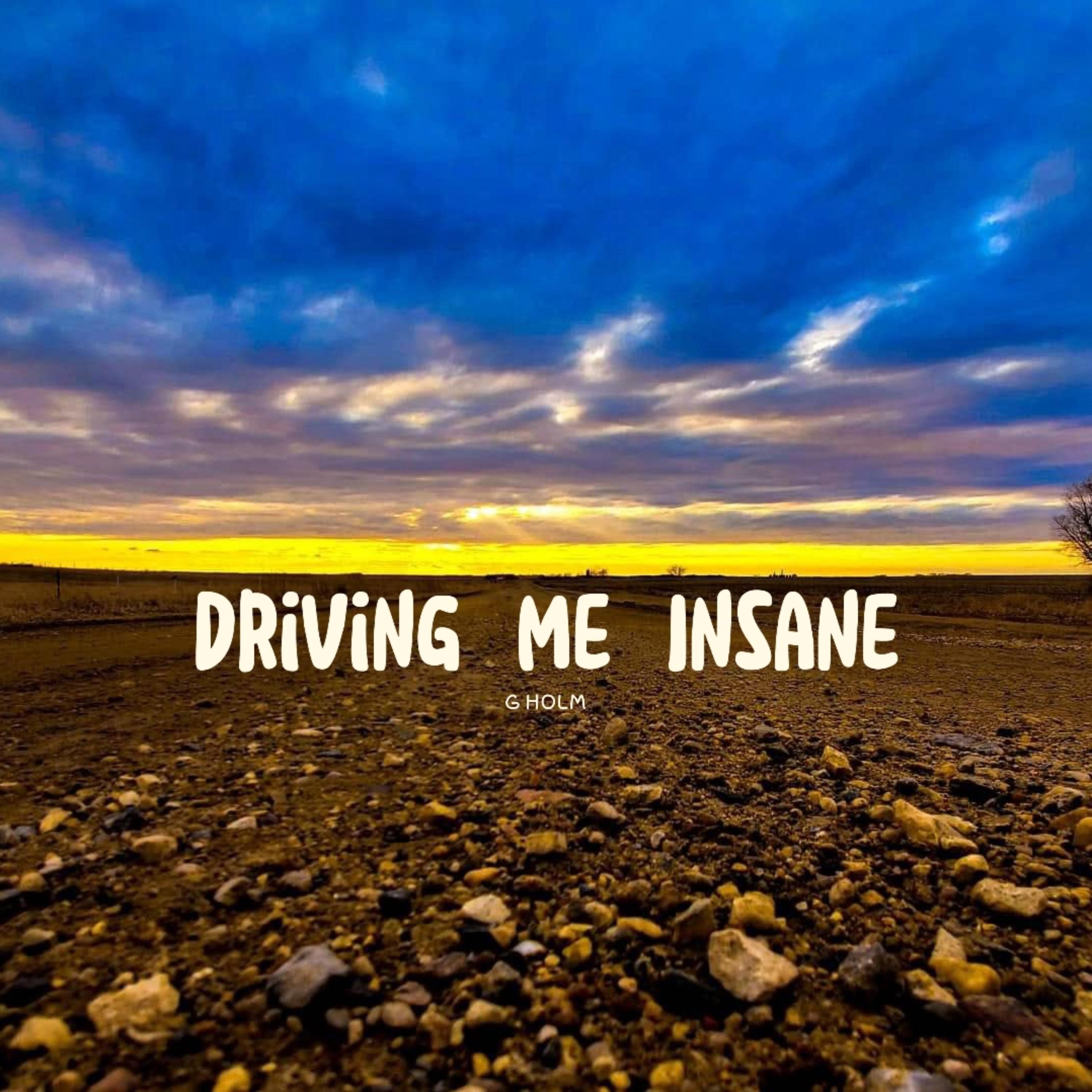Driving Me Insane artwork