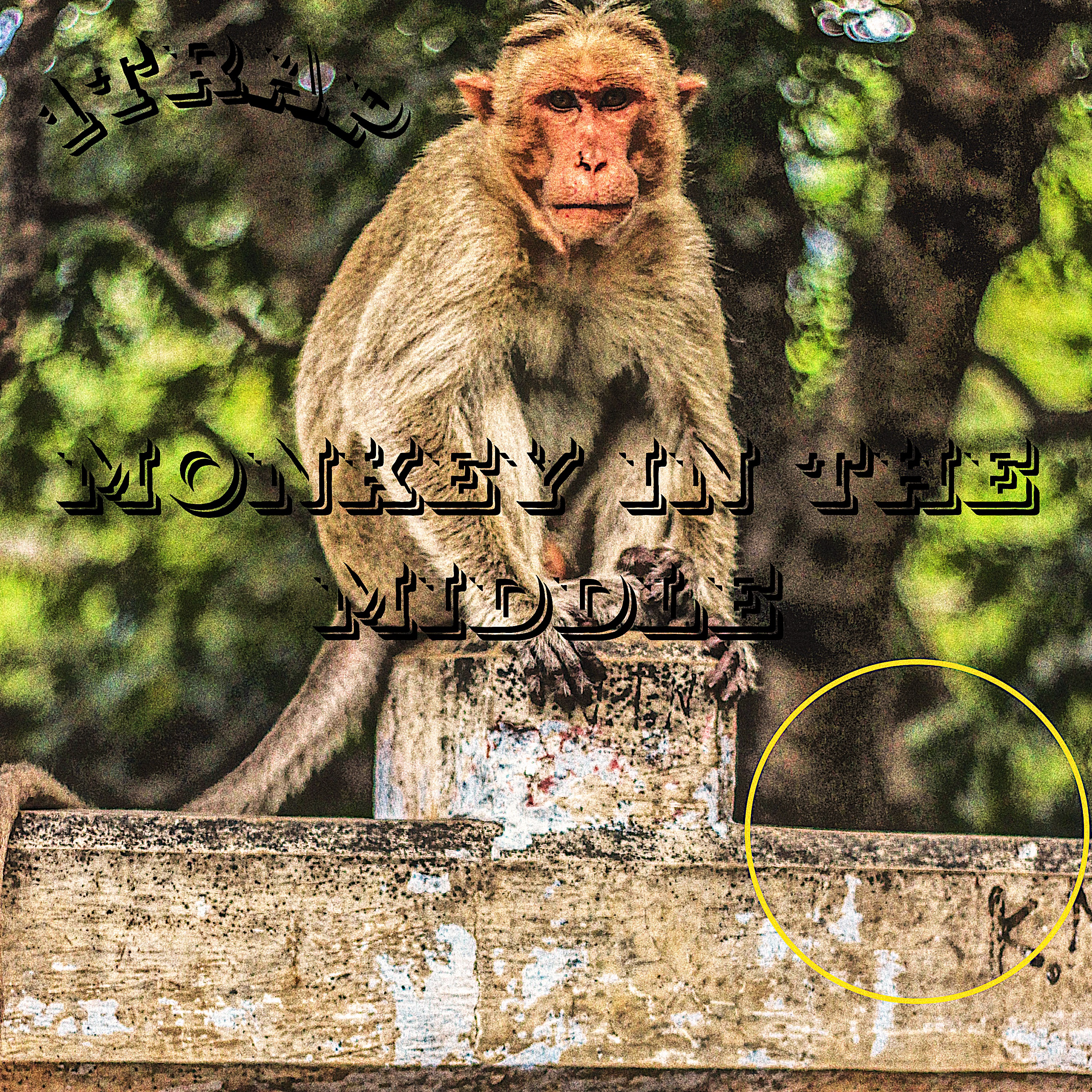 Monkey In The Middle artwork