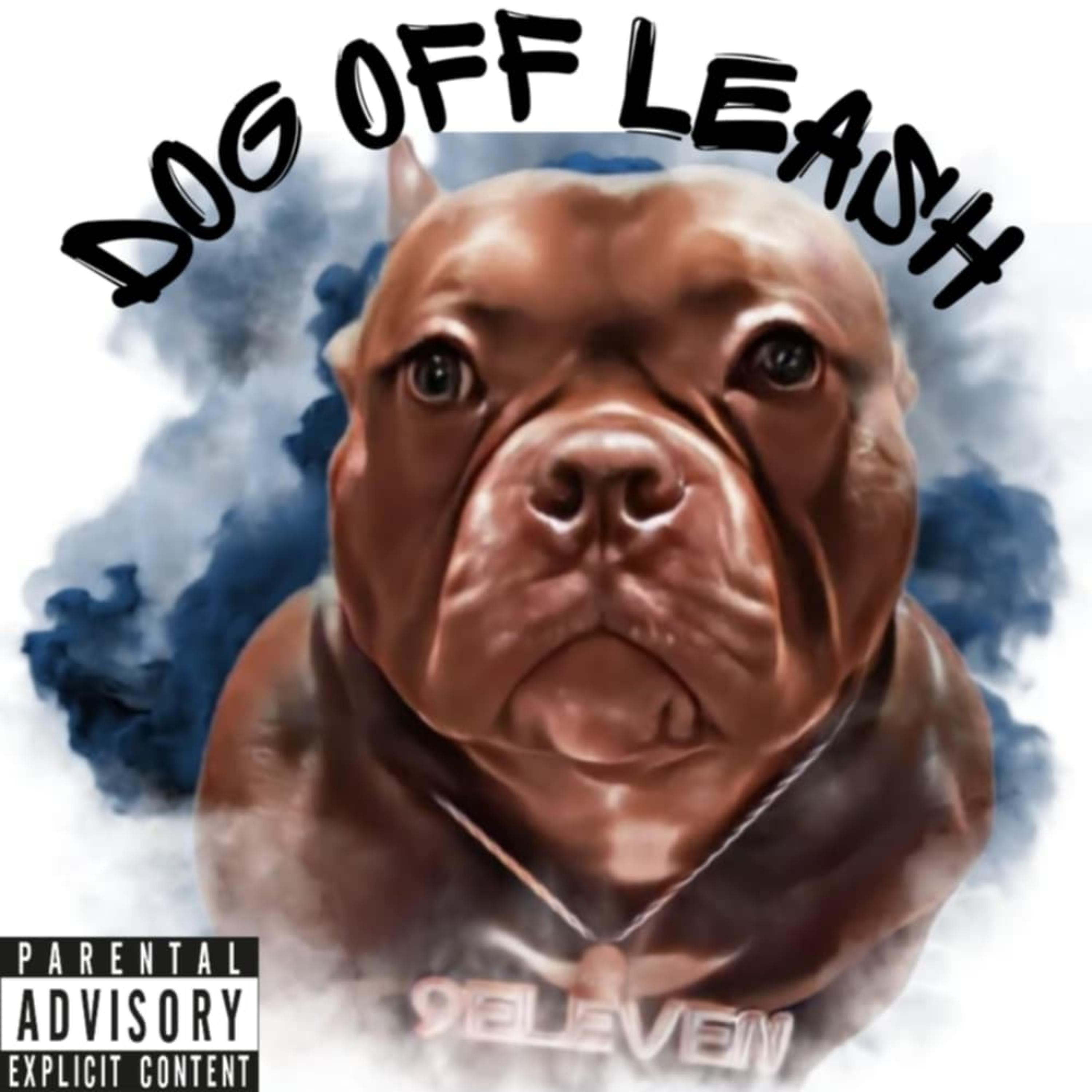 DOG OFF LEASH artwork