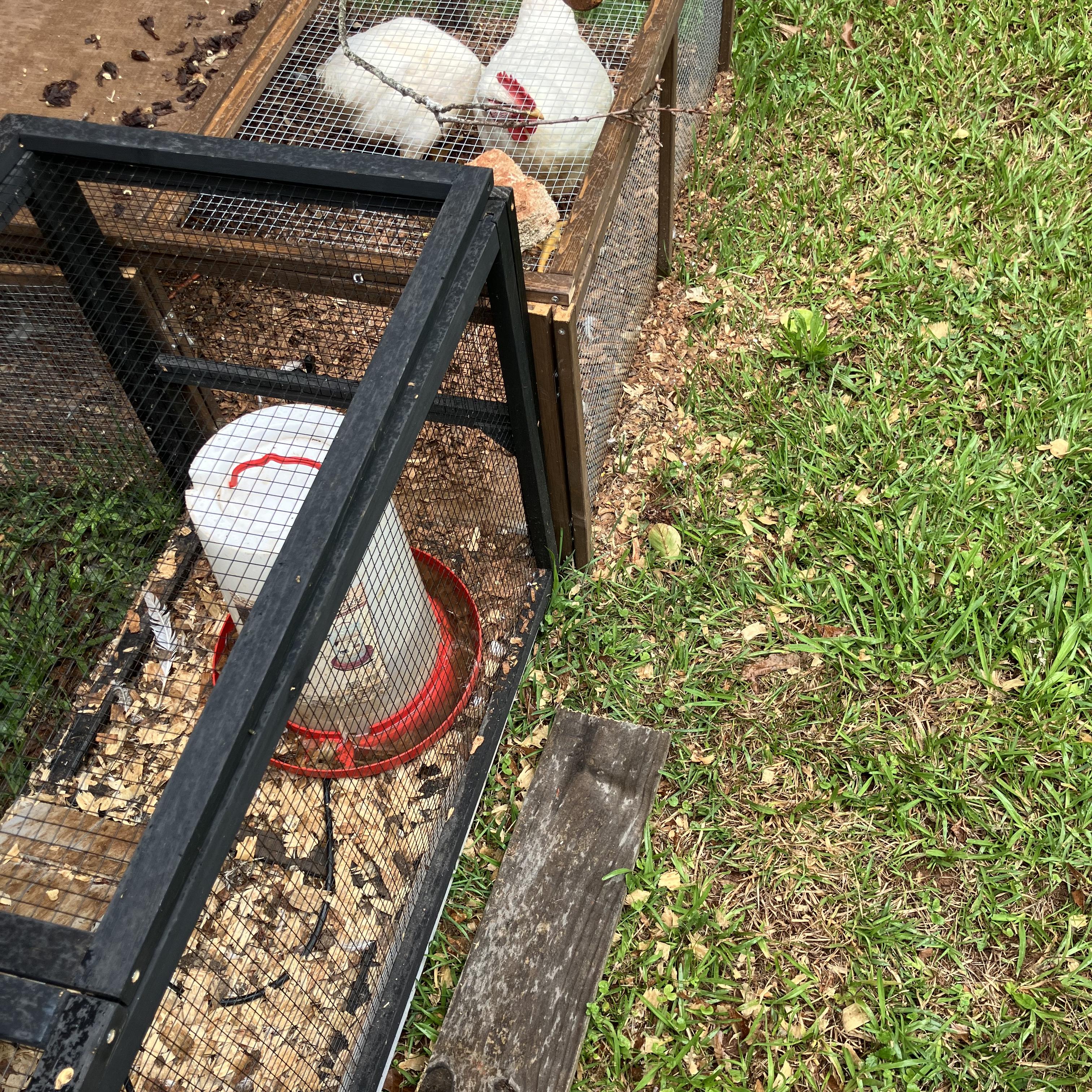 I’M GOING NANDO’S! artwork