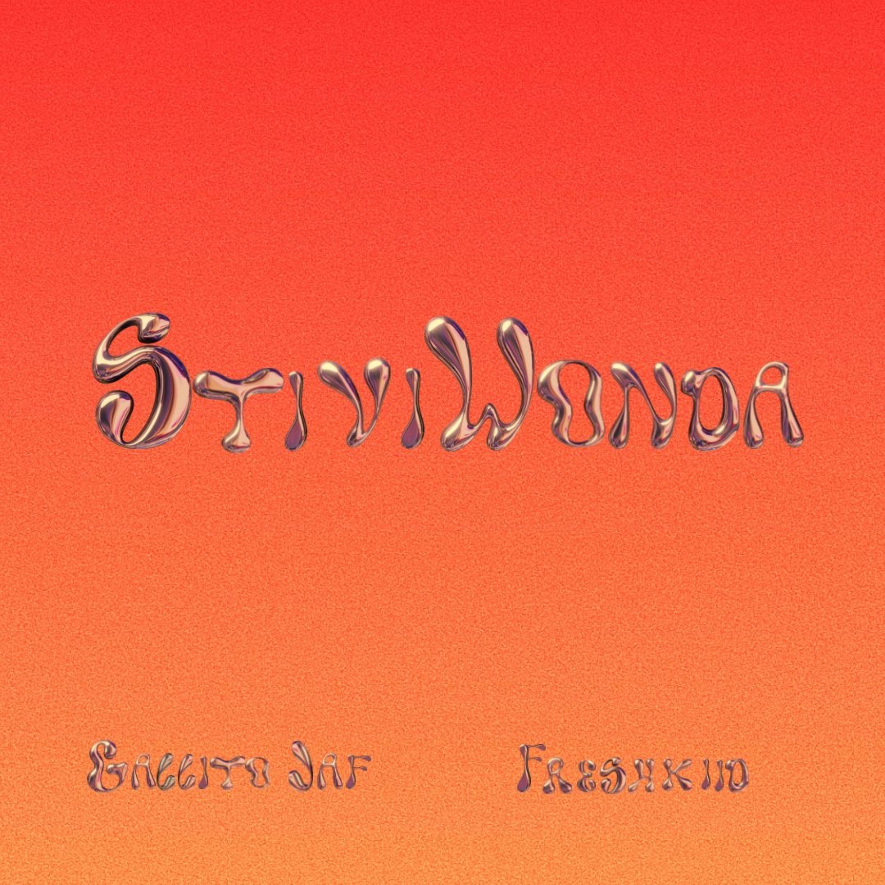 Stivi Wonda artwork