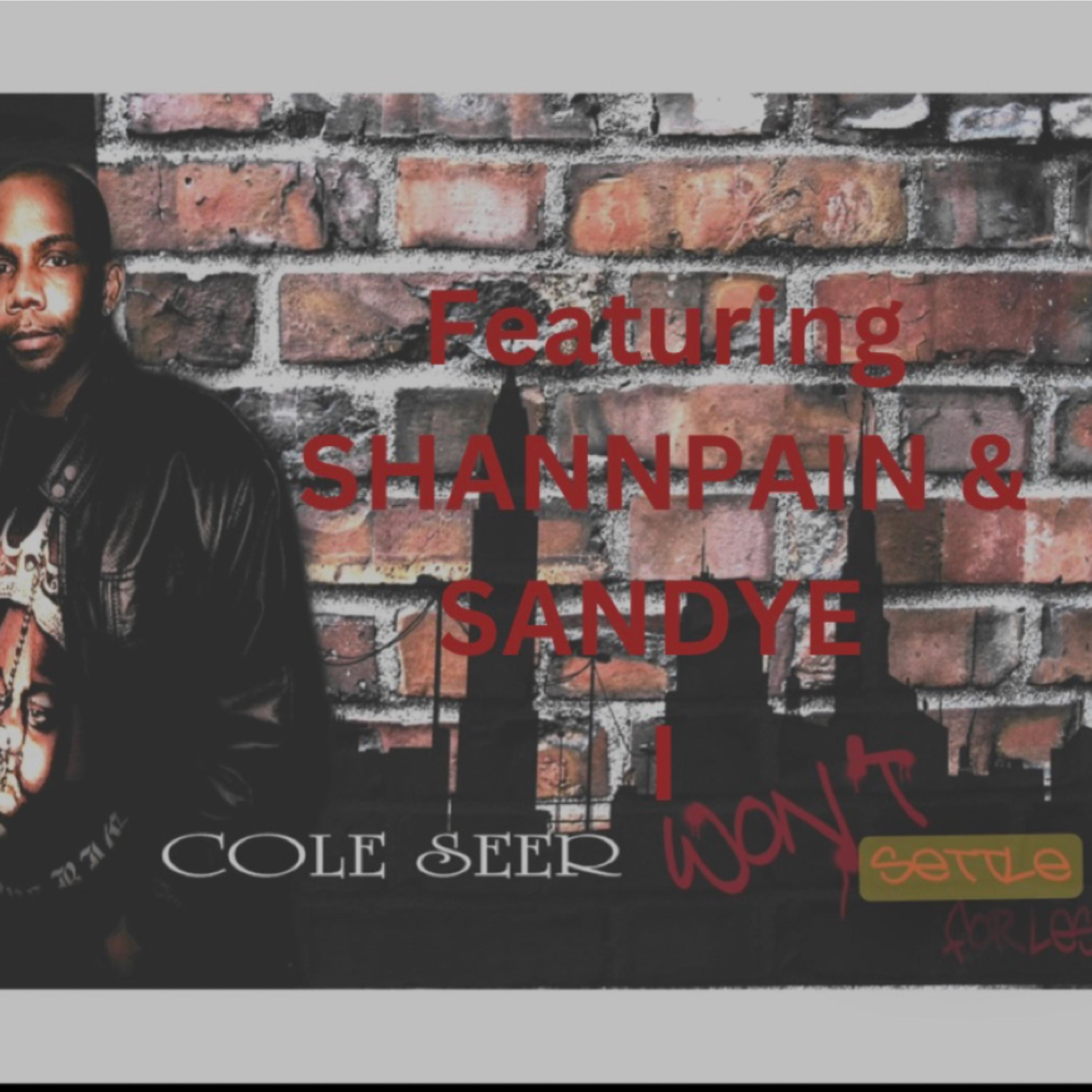 I WON’T SETTLE FOR LESS artwork