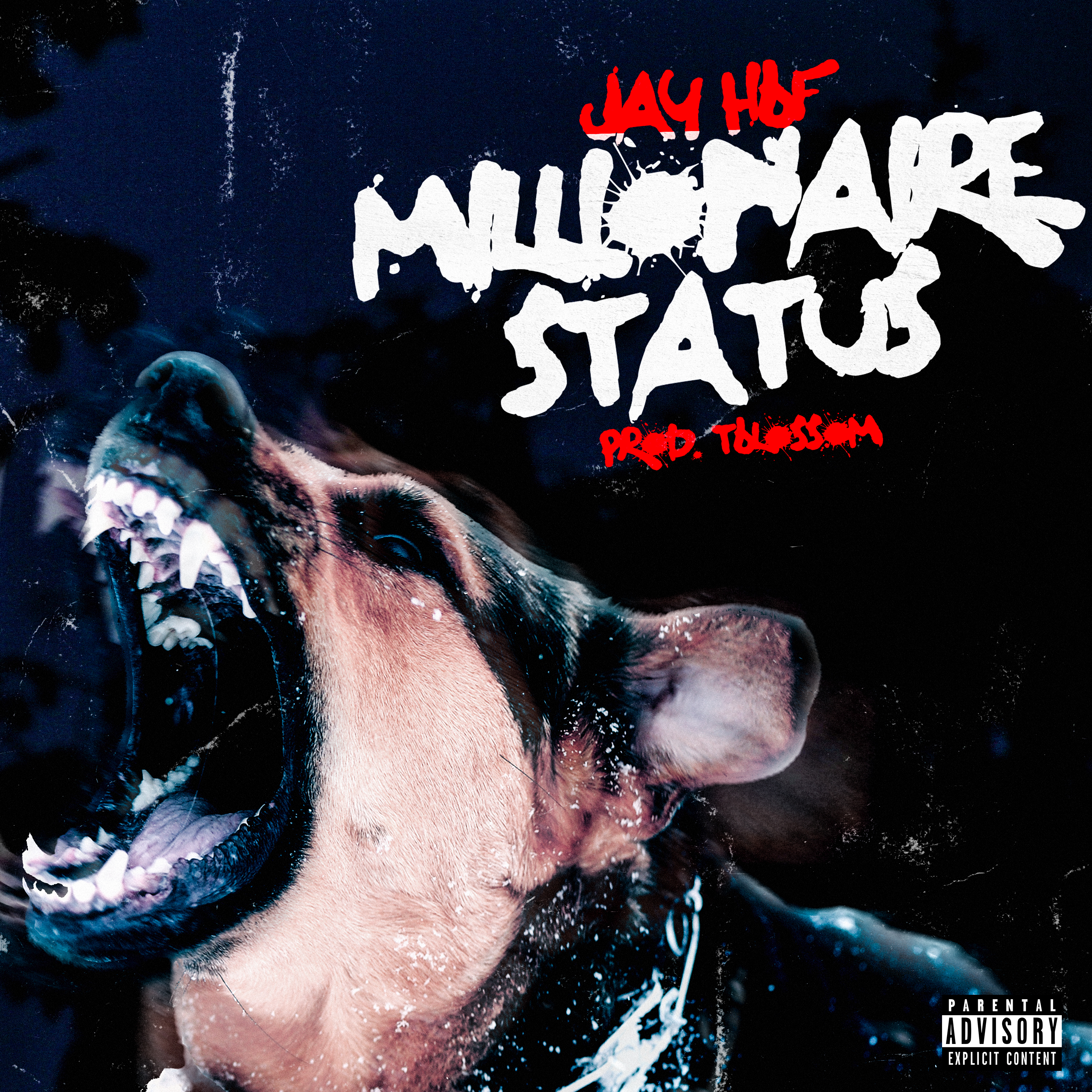 Millionaire Status by Jay HBF cover art