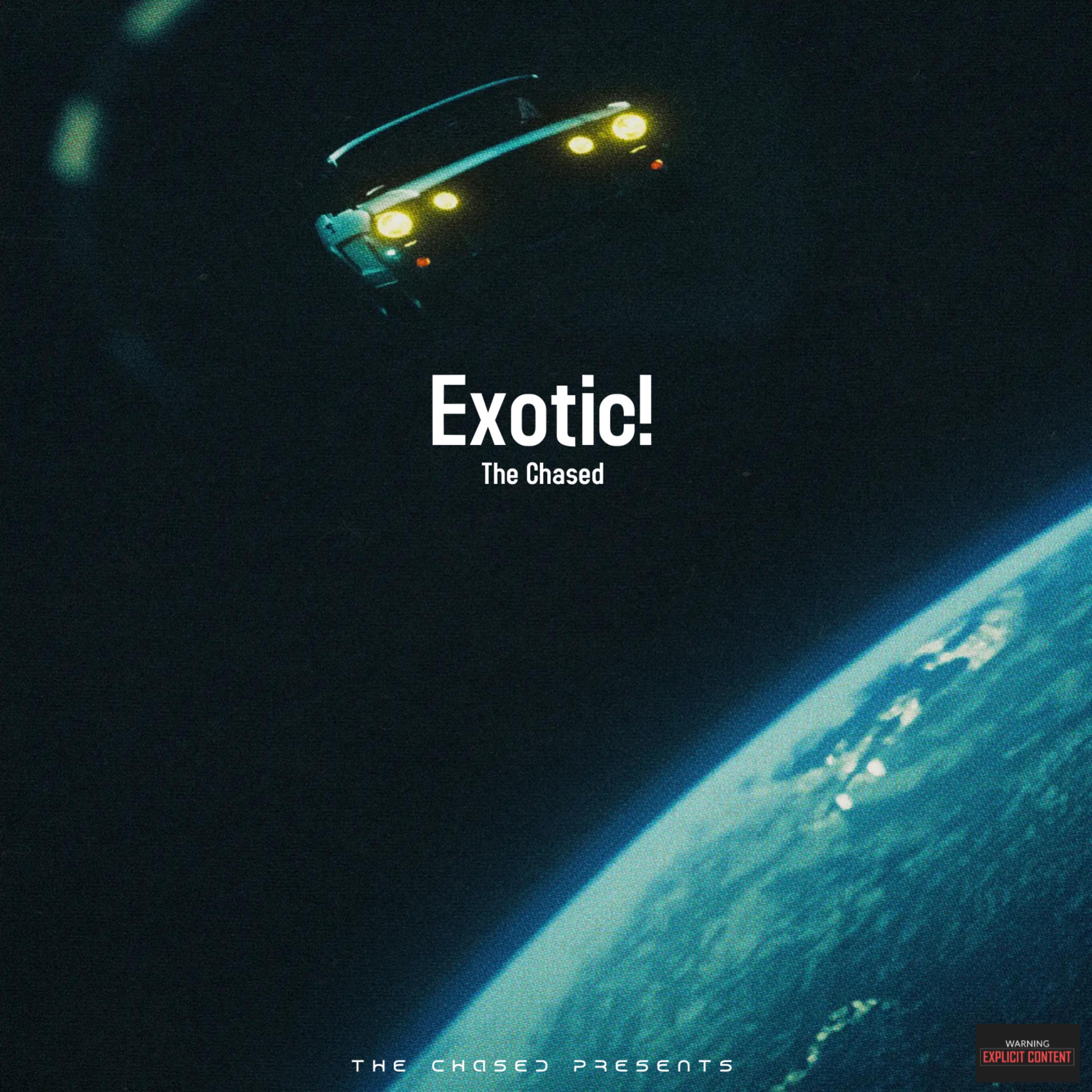 Exotic! artwork