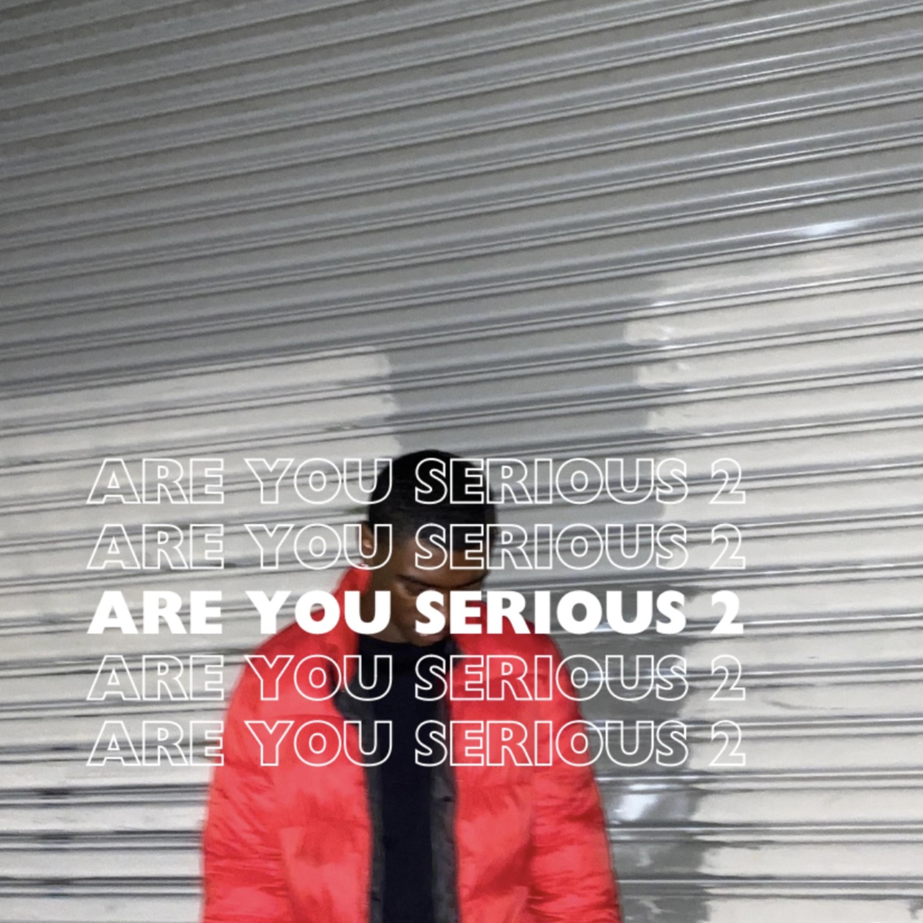 Are You Serious 2 artwork