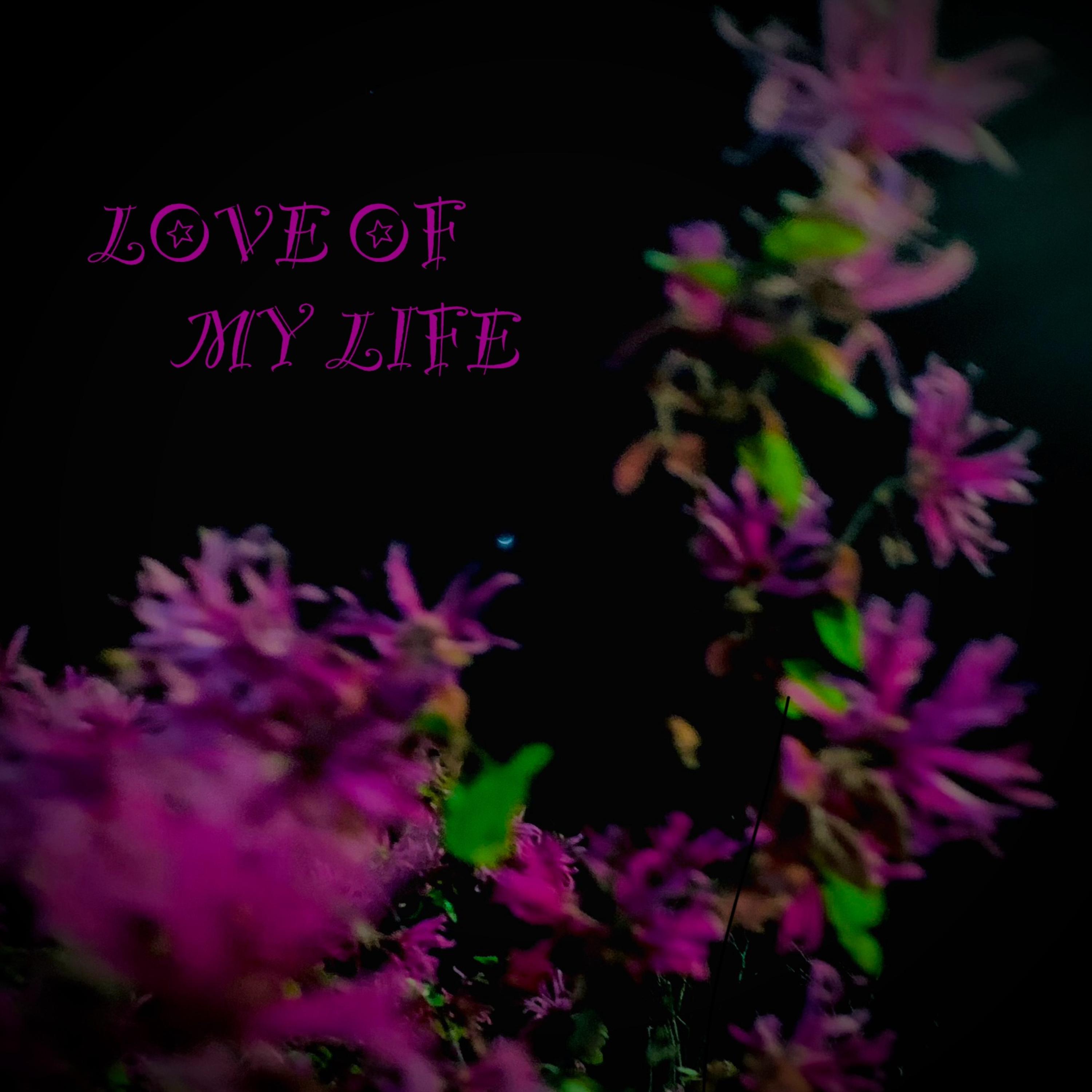 love of my life artwork