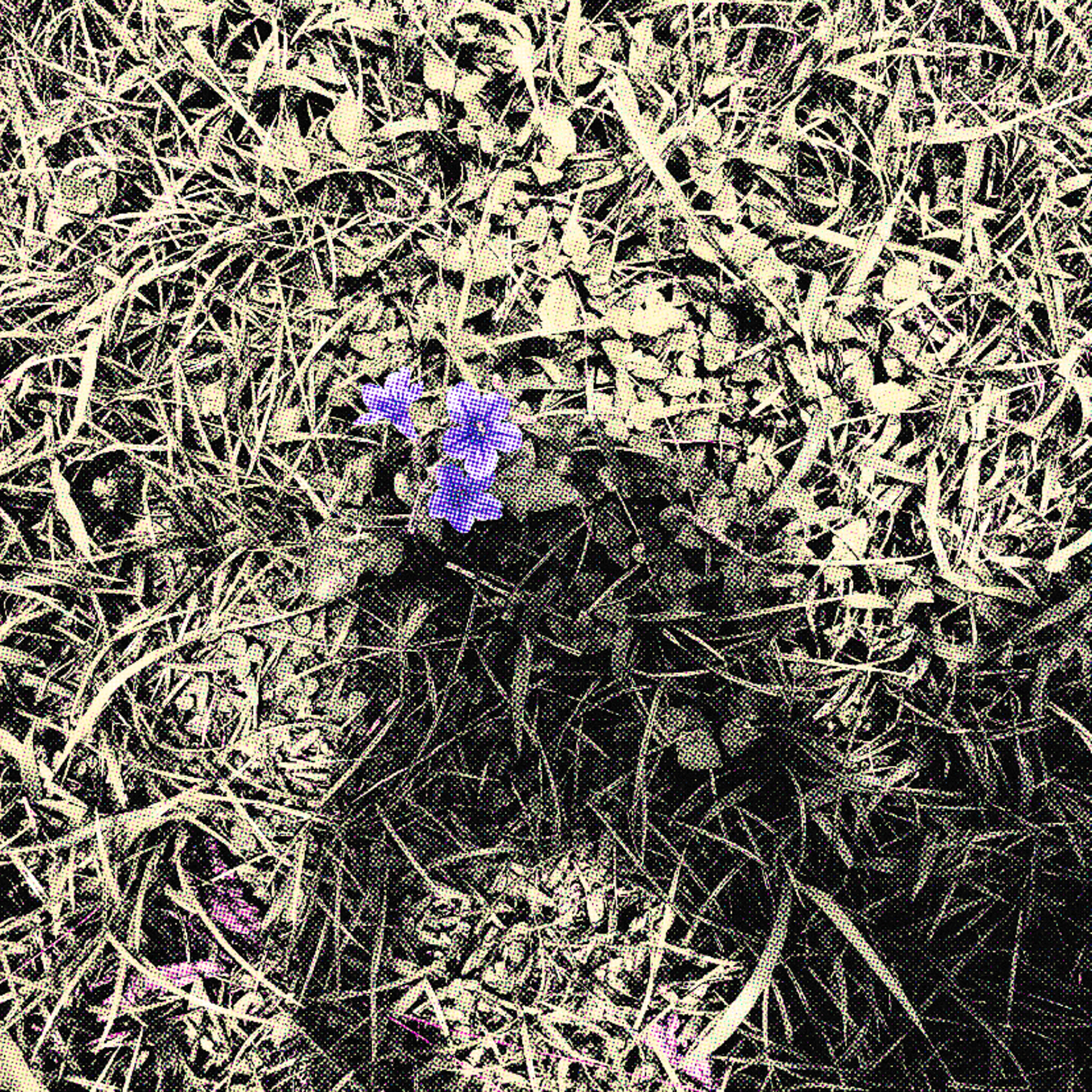 Feelings [Instrumentals] // Love On Me [Instrumentals] // Heavy Heart [Instrumental alts] artwork