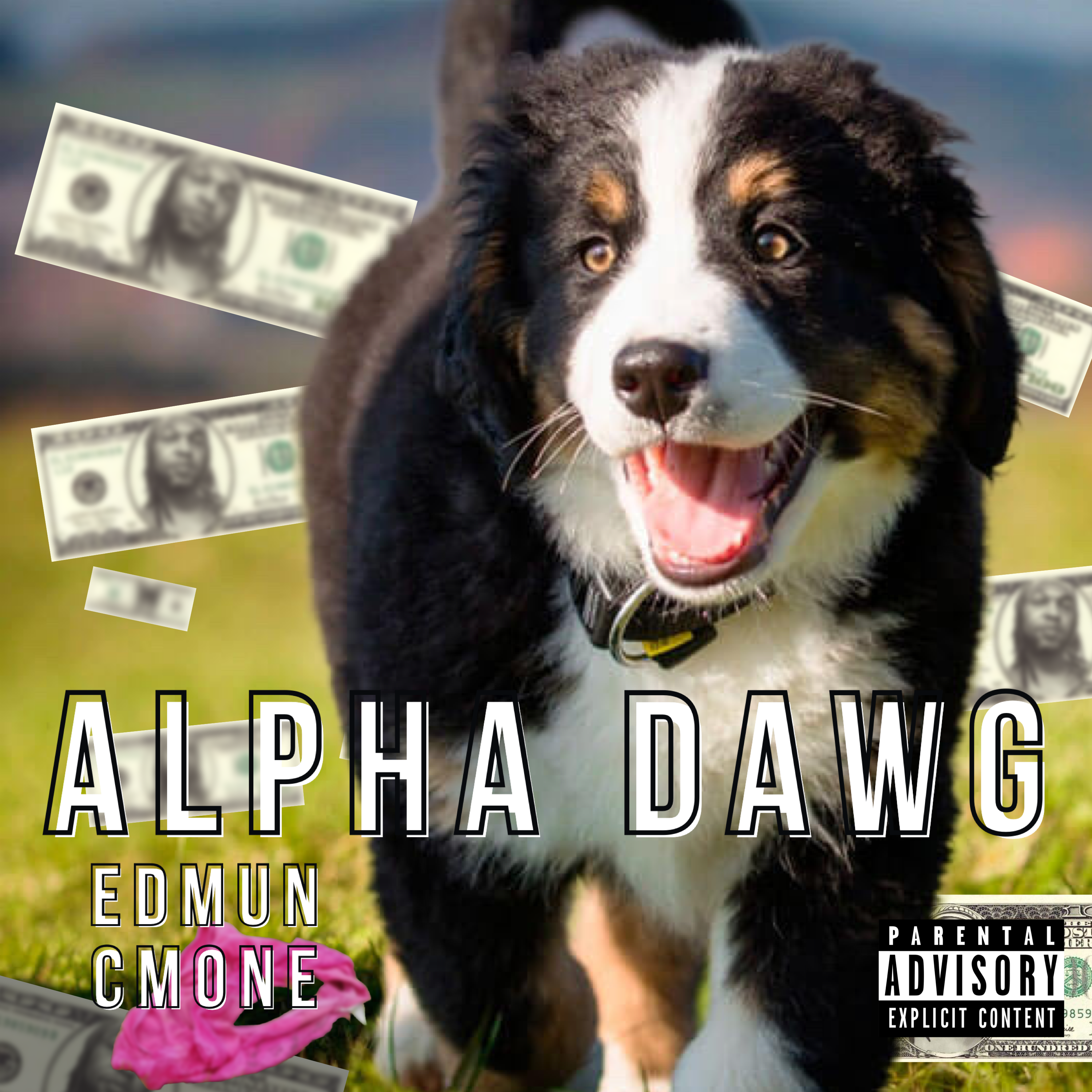 Alpha Dawg artwork