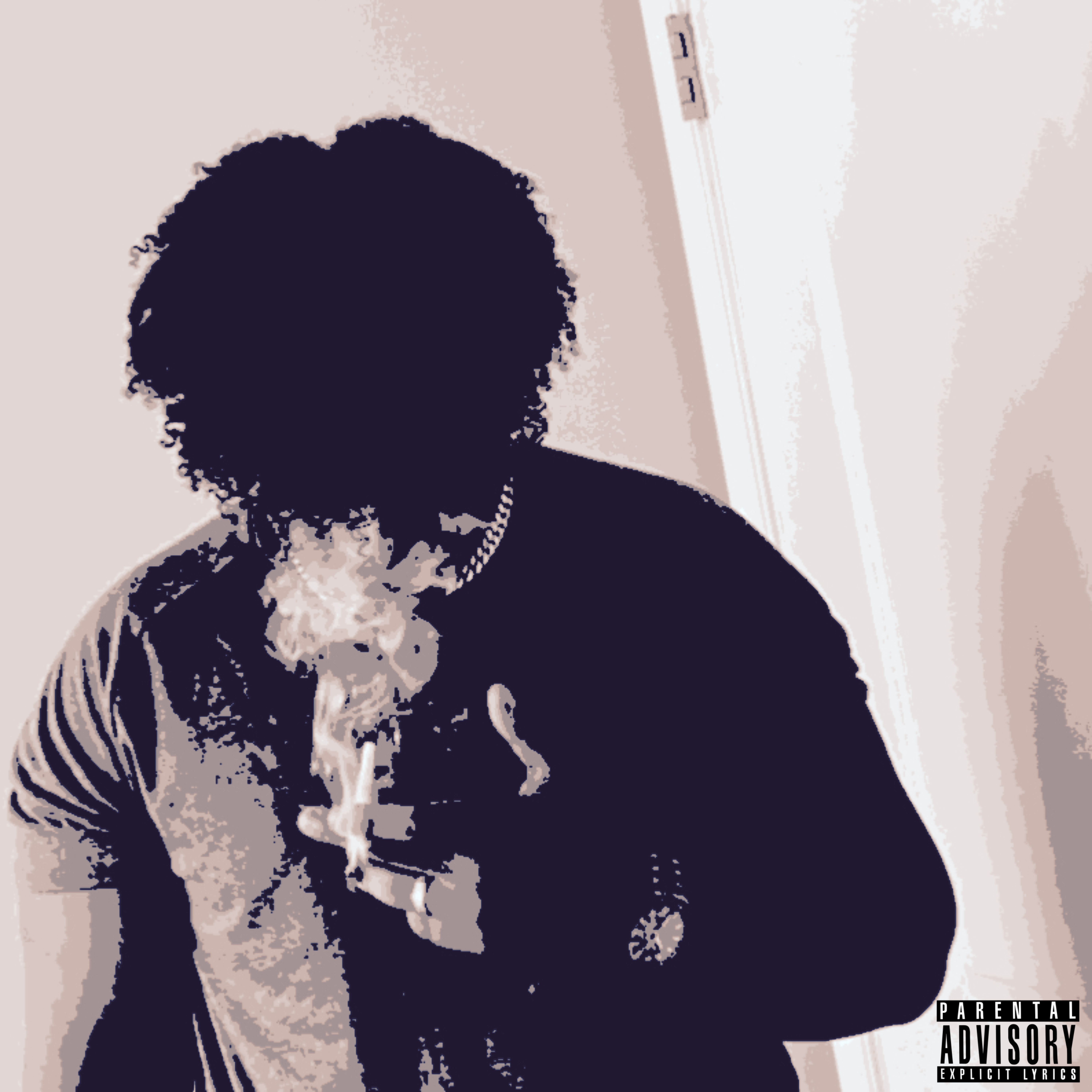 Skoo Project* artwork