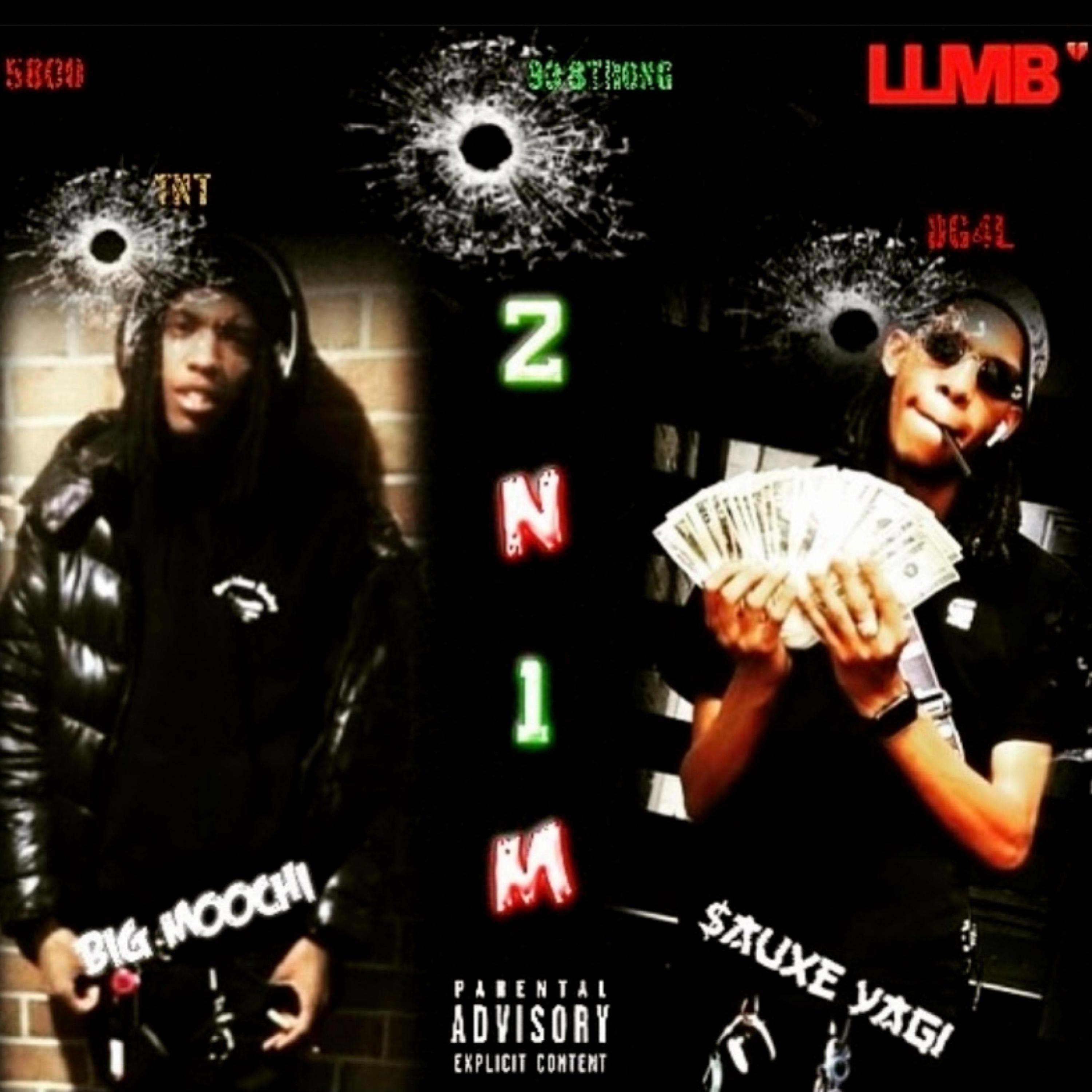 2N1M artwork