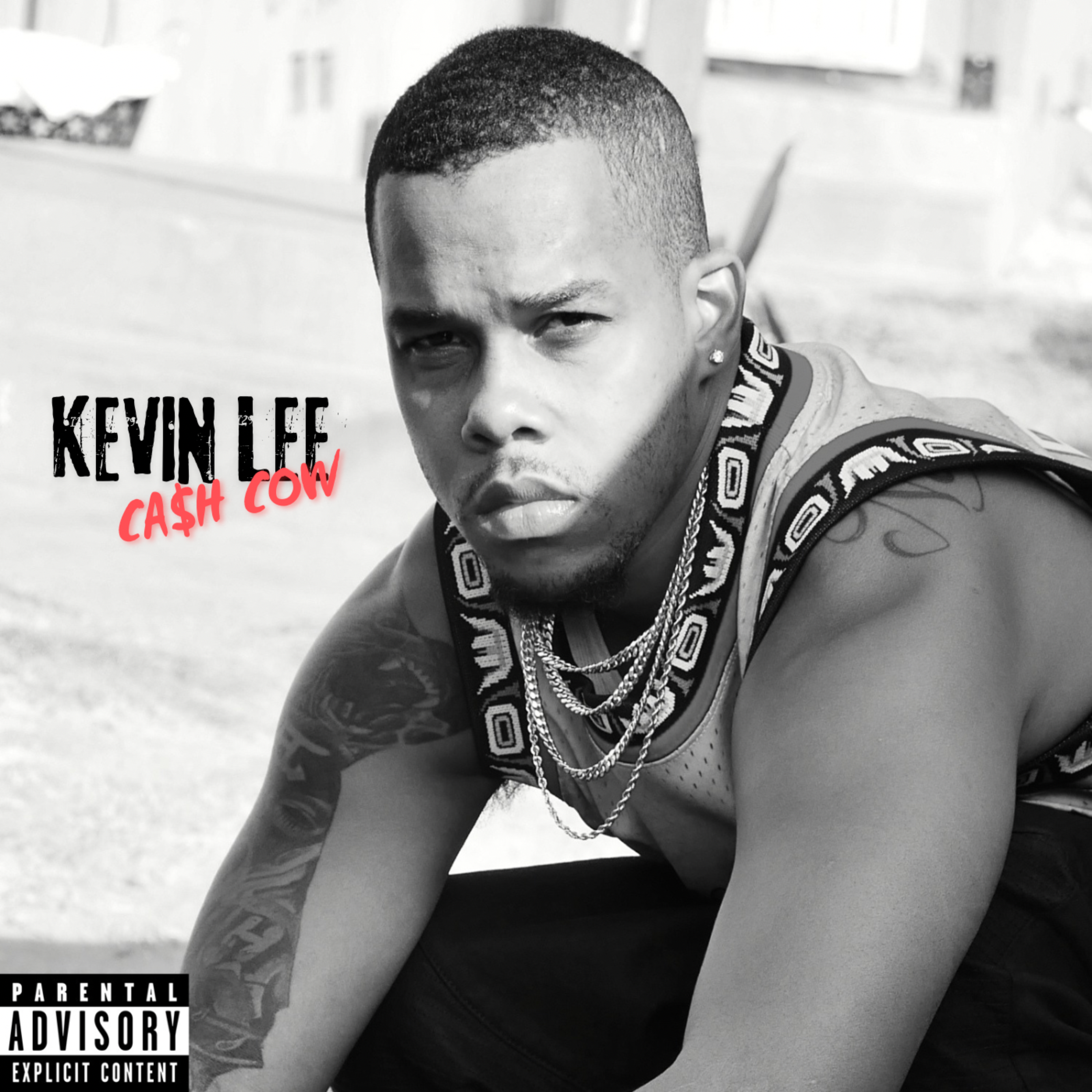 CA$H COW artwork