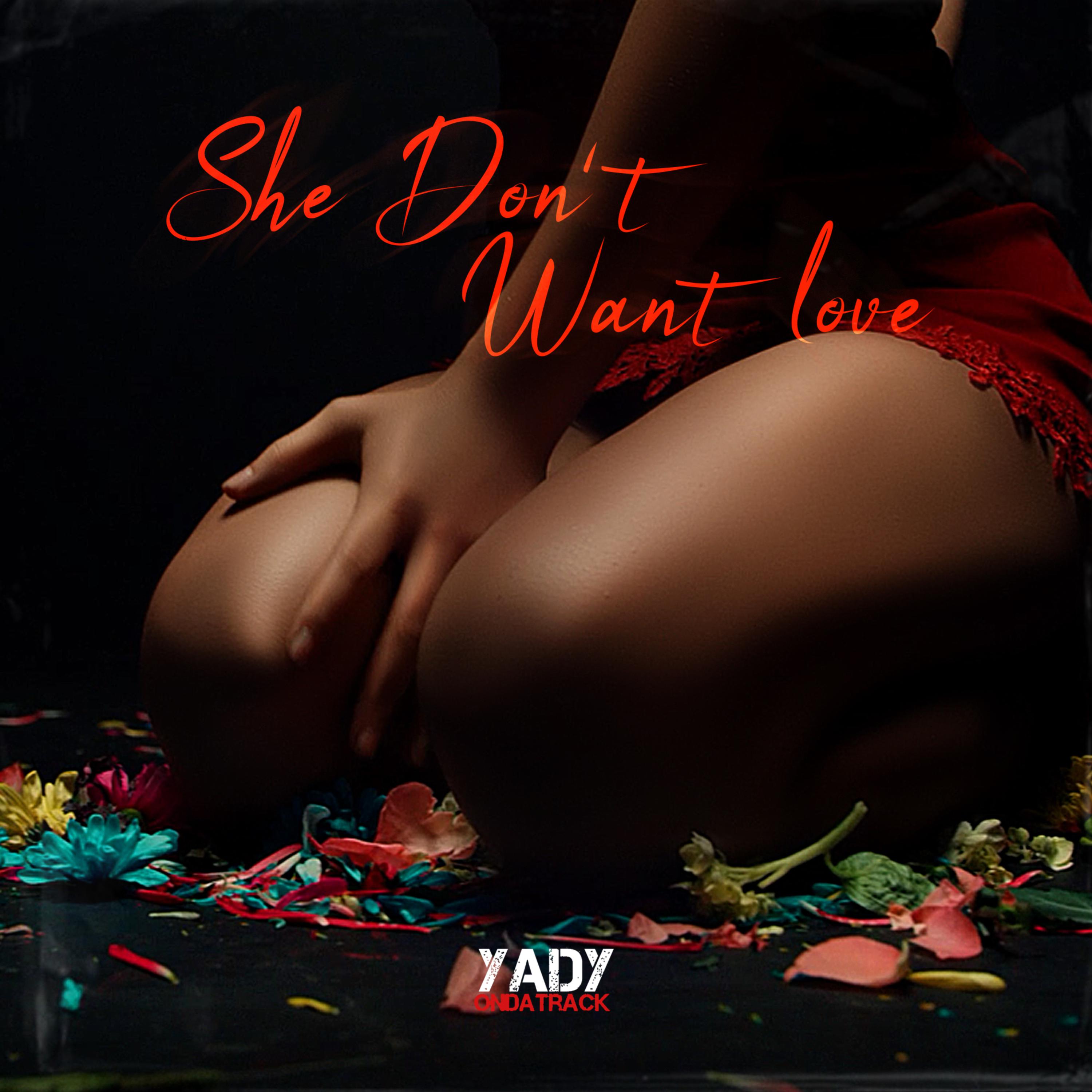 She Don't Want Love artwork