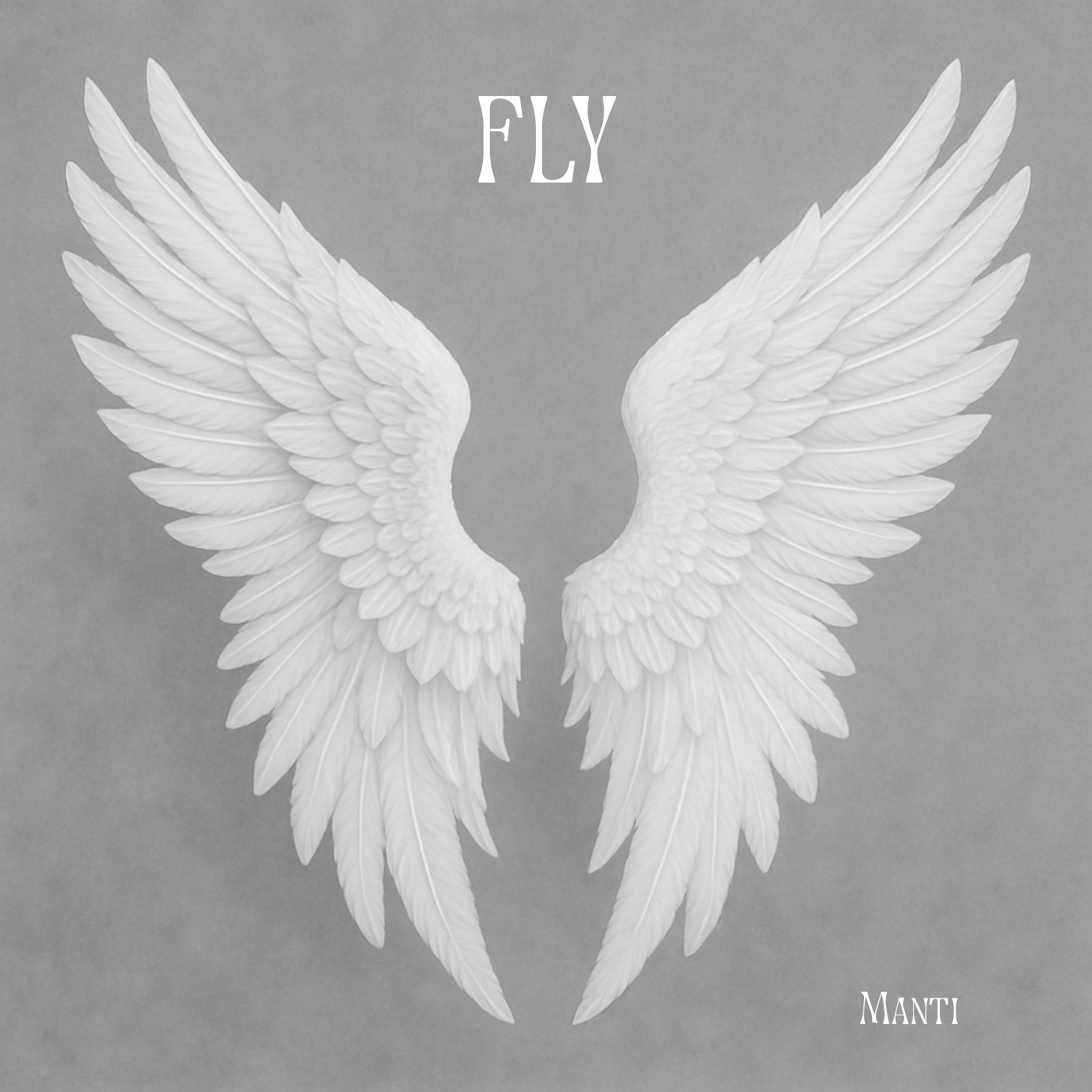 FLY artwork