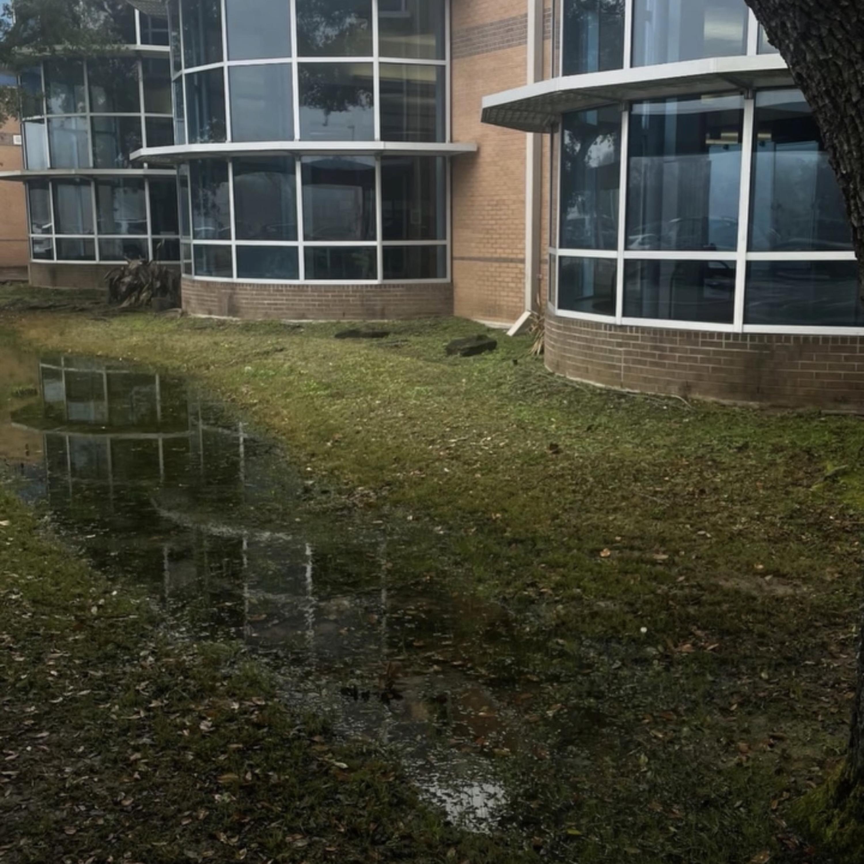 lucid dreaming artwork