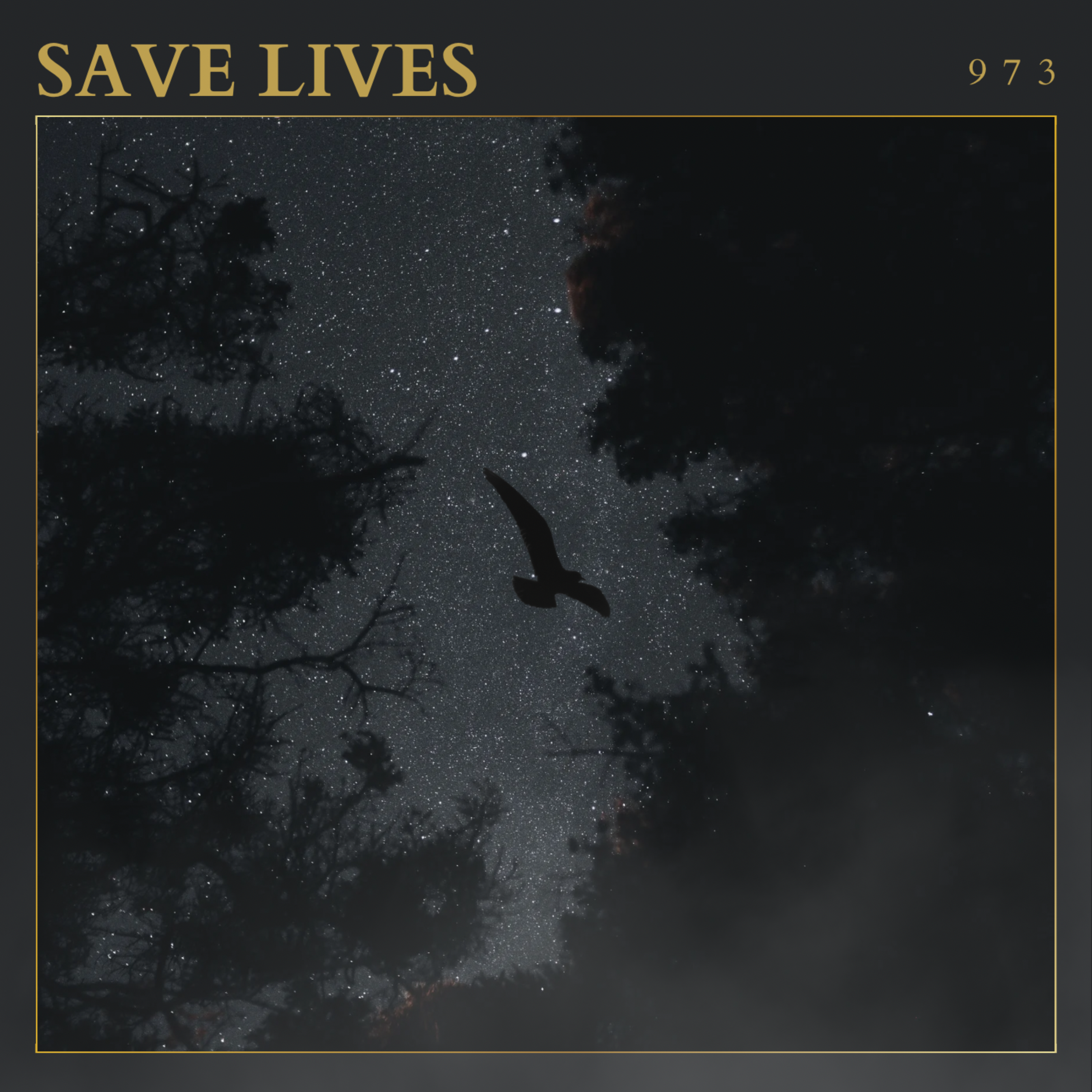 Save Lives artwork