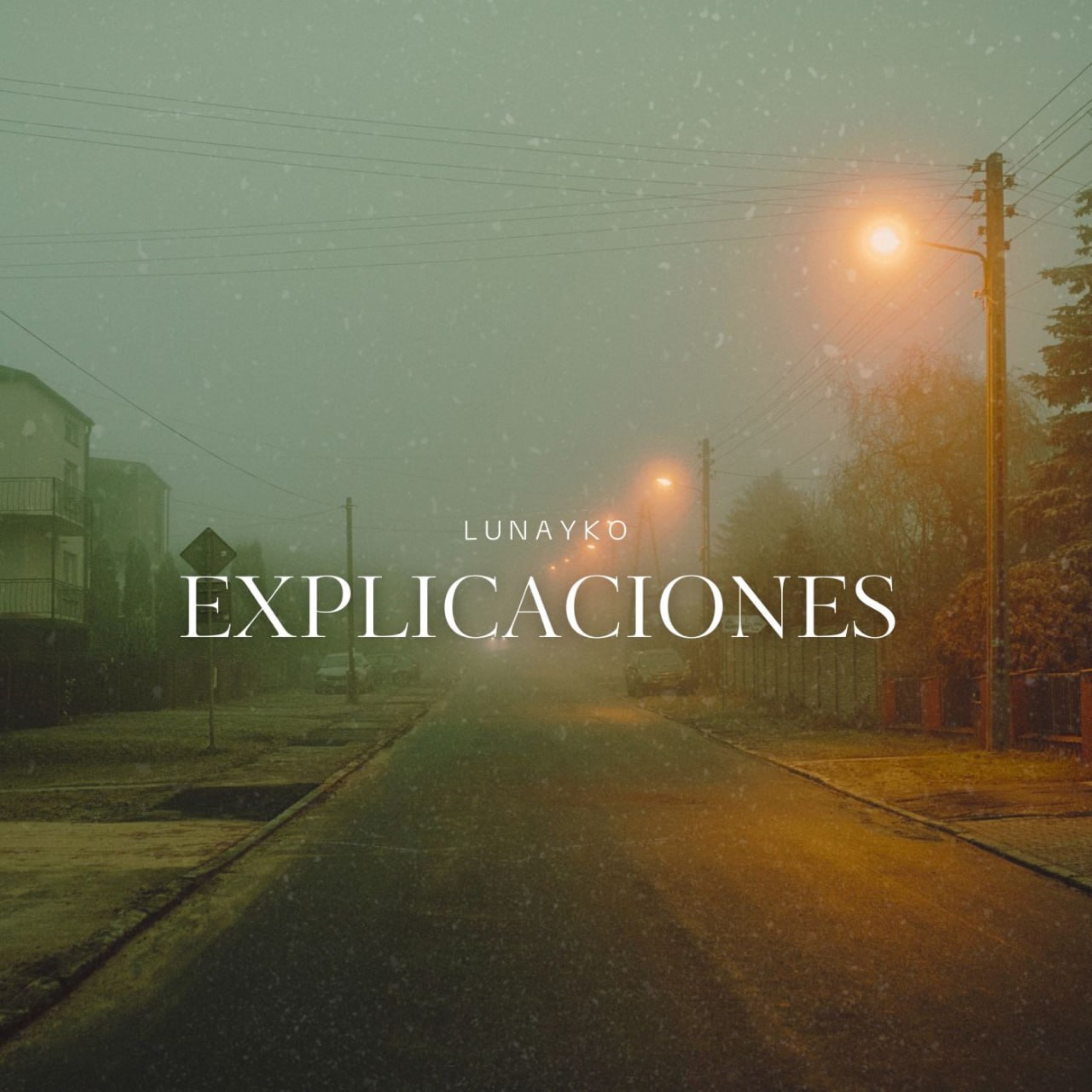 Explicaciones artwork