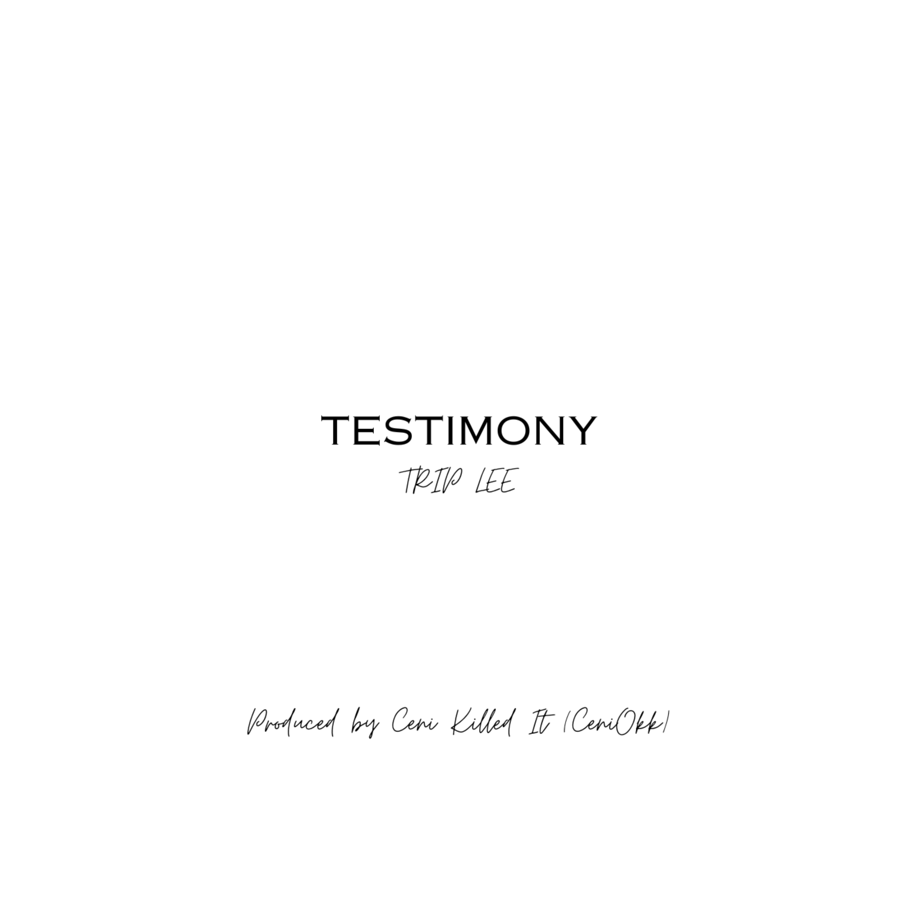 TESTIMONY artwork