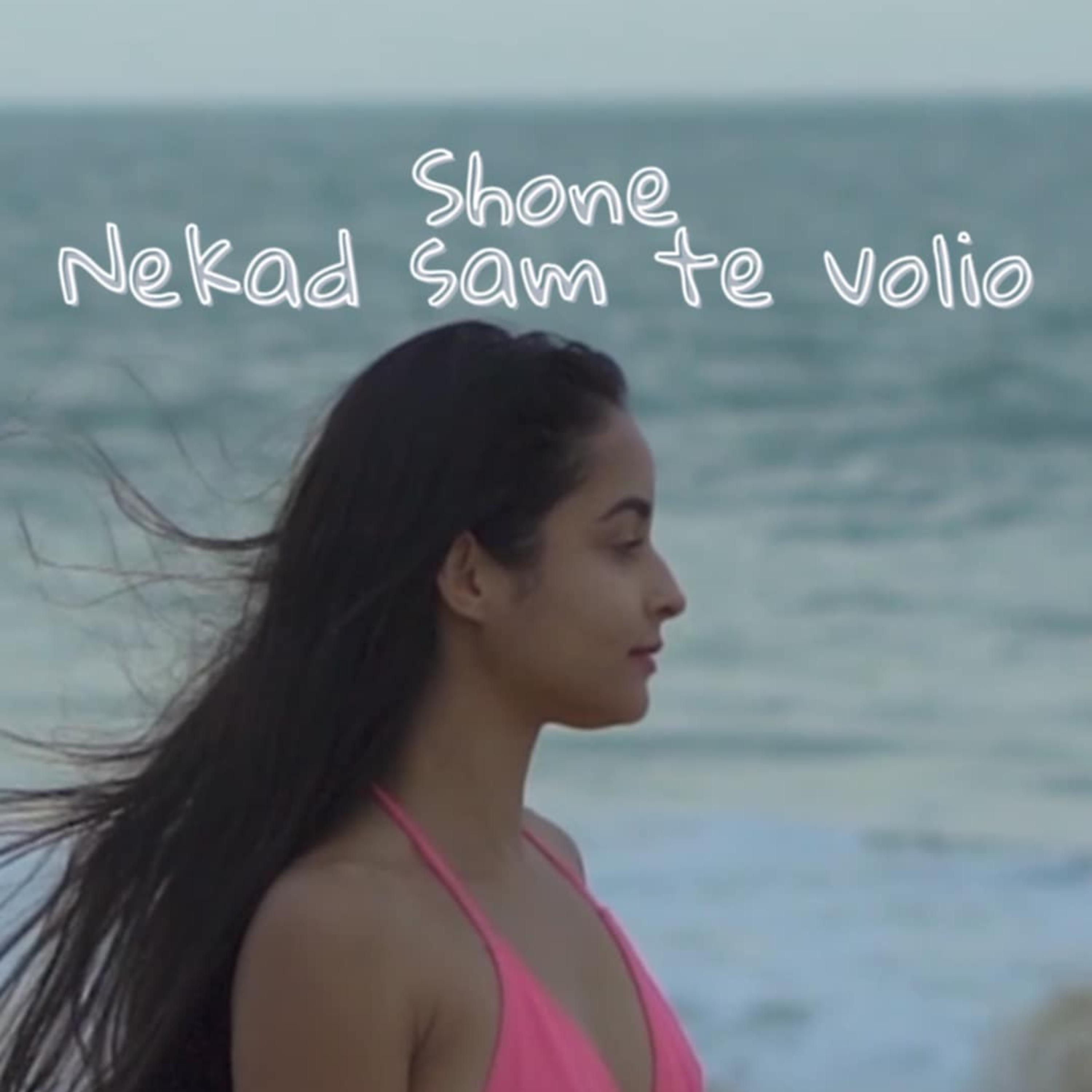 Nekad sam te volio artwork