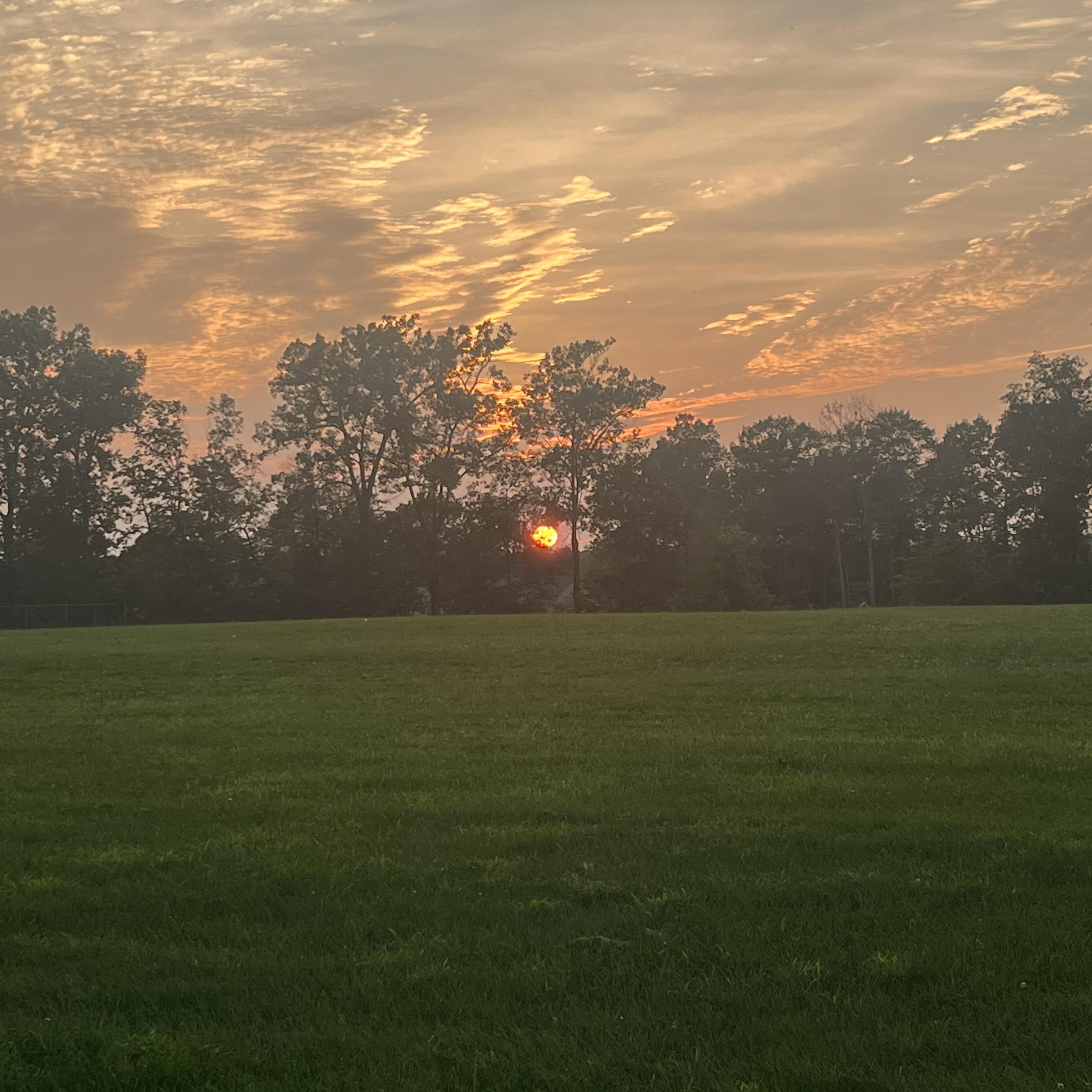 Just Vibe With Me artwork