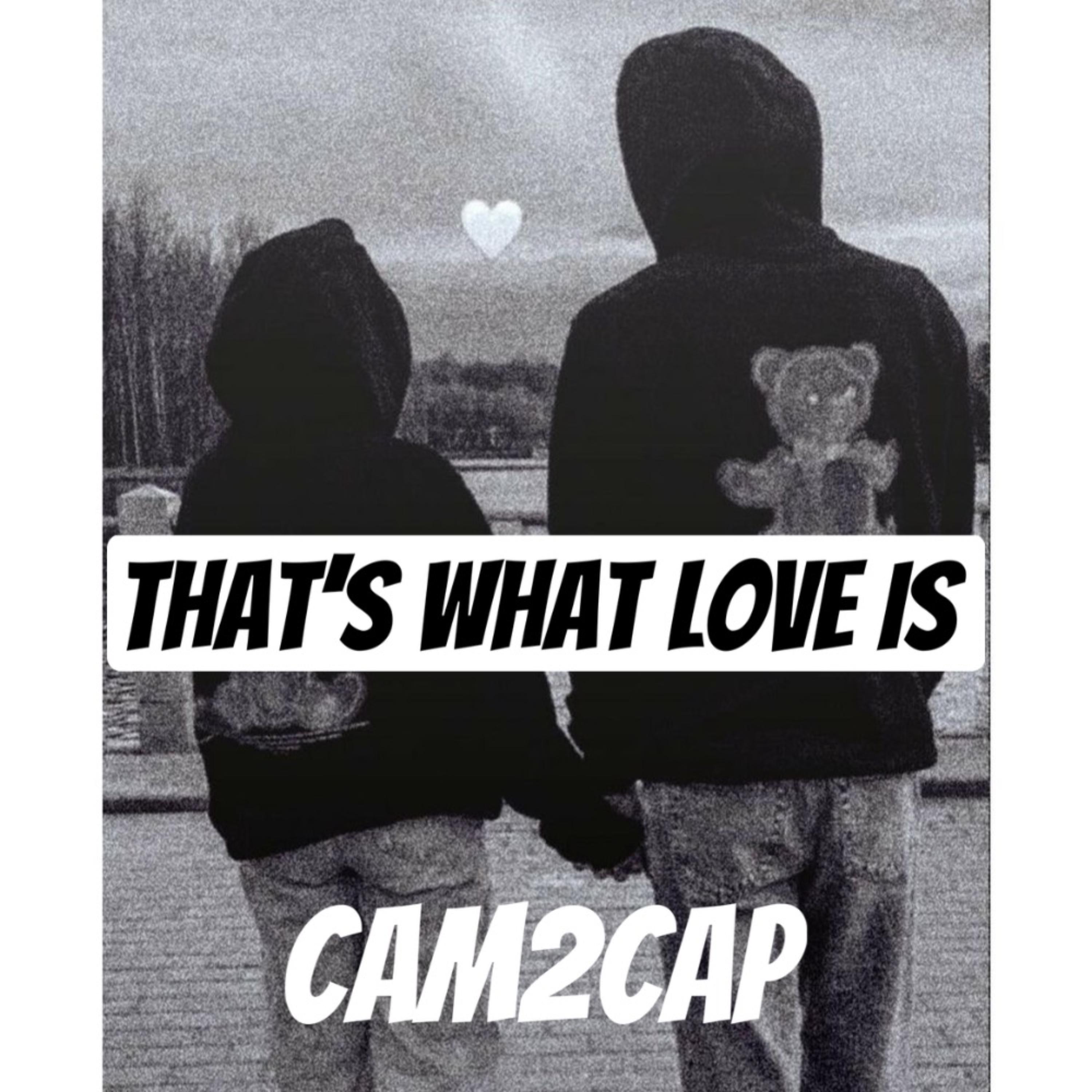 That’s What Love Is by Cam2Cap cover art