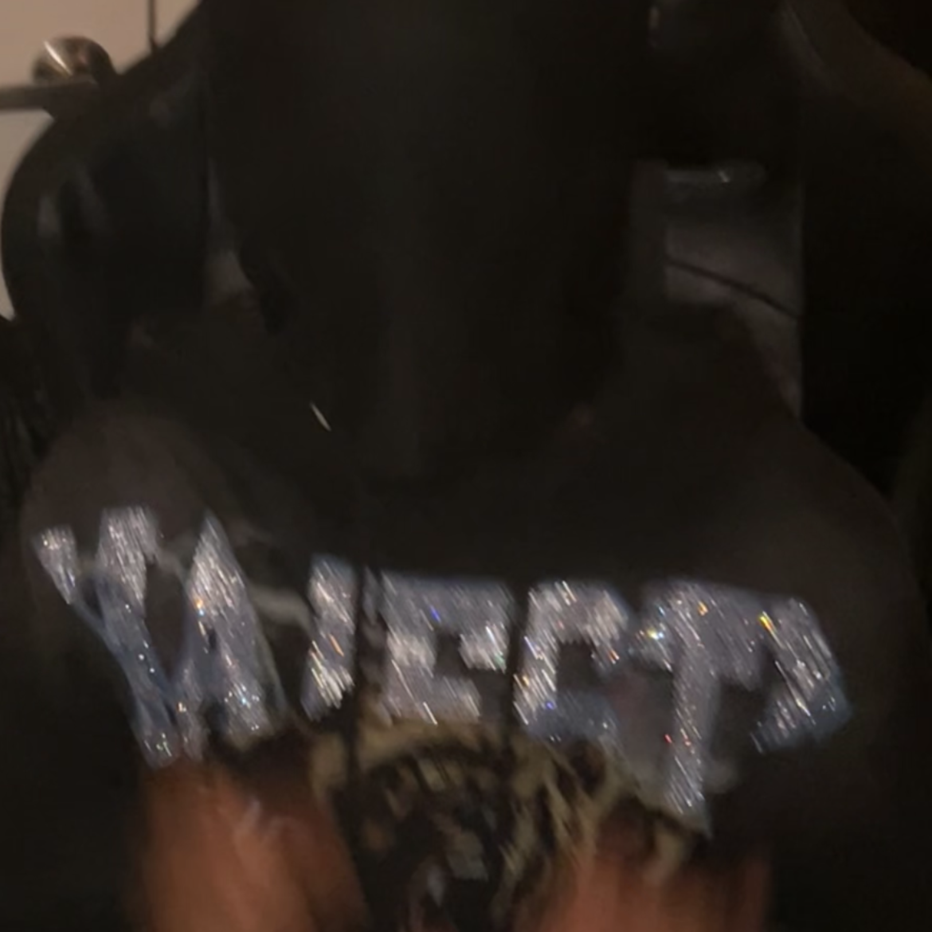 BIPPIN artwork