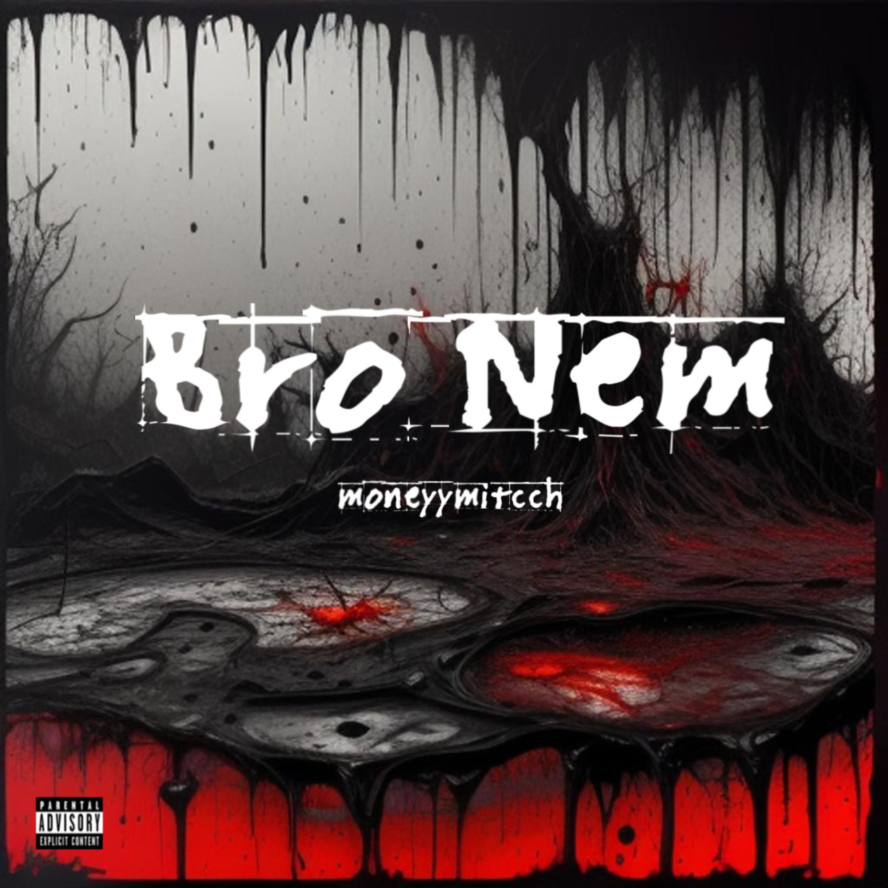 Bro Nem artwork