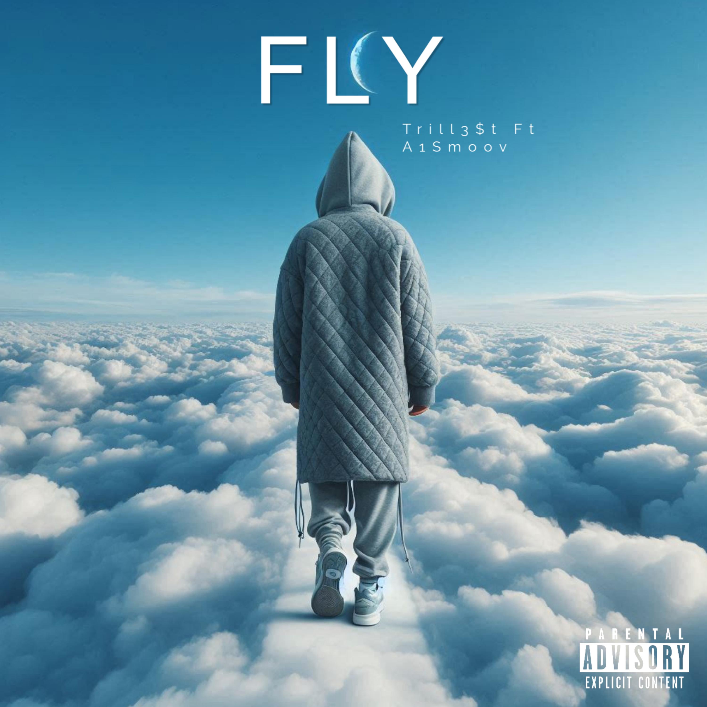 Fly artwork